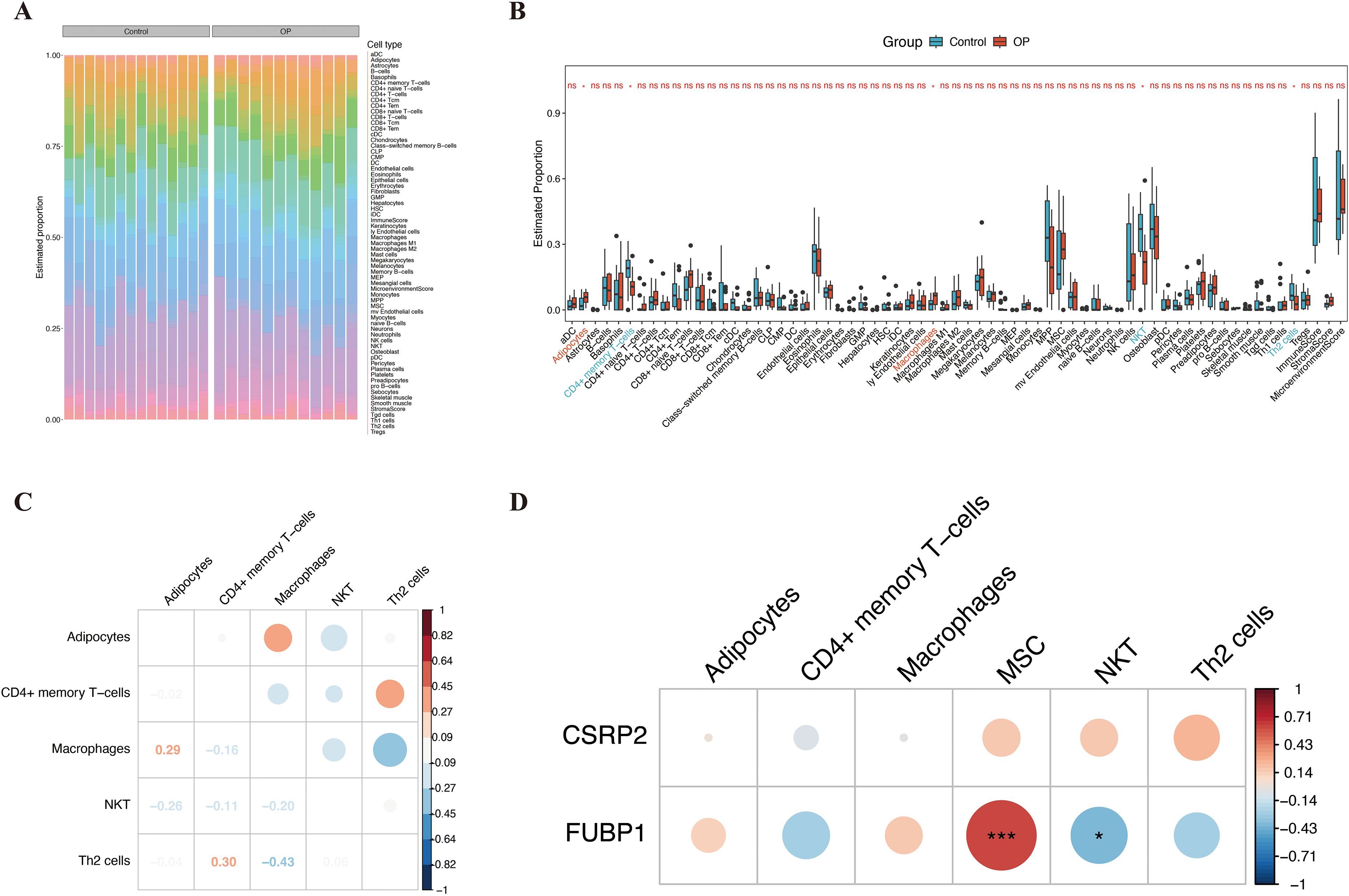 Panel A displays a stacked bar chart showing cell type proportions in control and OP groups. Panel B presents a box plot comparing estimated cell proportions, highlighting significant differences. Panel C features a correlation matrix with bubble sizes indicating the strength of correlations among adipocytes, CD4+ memory T-cells, macrophages, NKT, and Th2 cells. Panel D shows another correlation matrix focusing on CSRP2 and FUBP1 expression in similar cell types, with bubble sizes denoting correlation strength and significance, marked by asterisks.