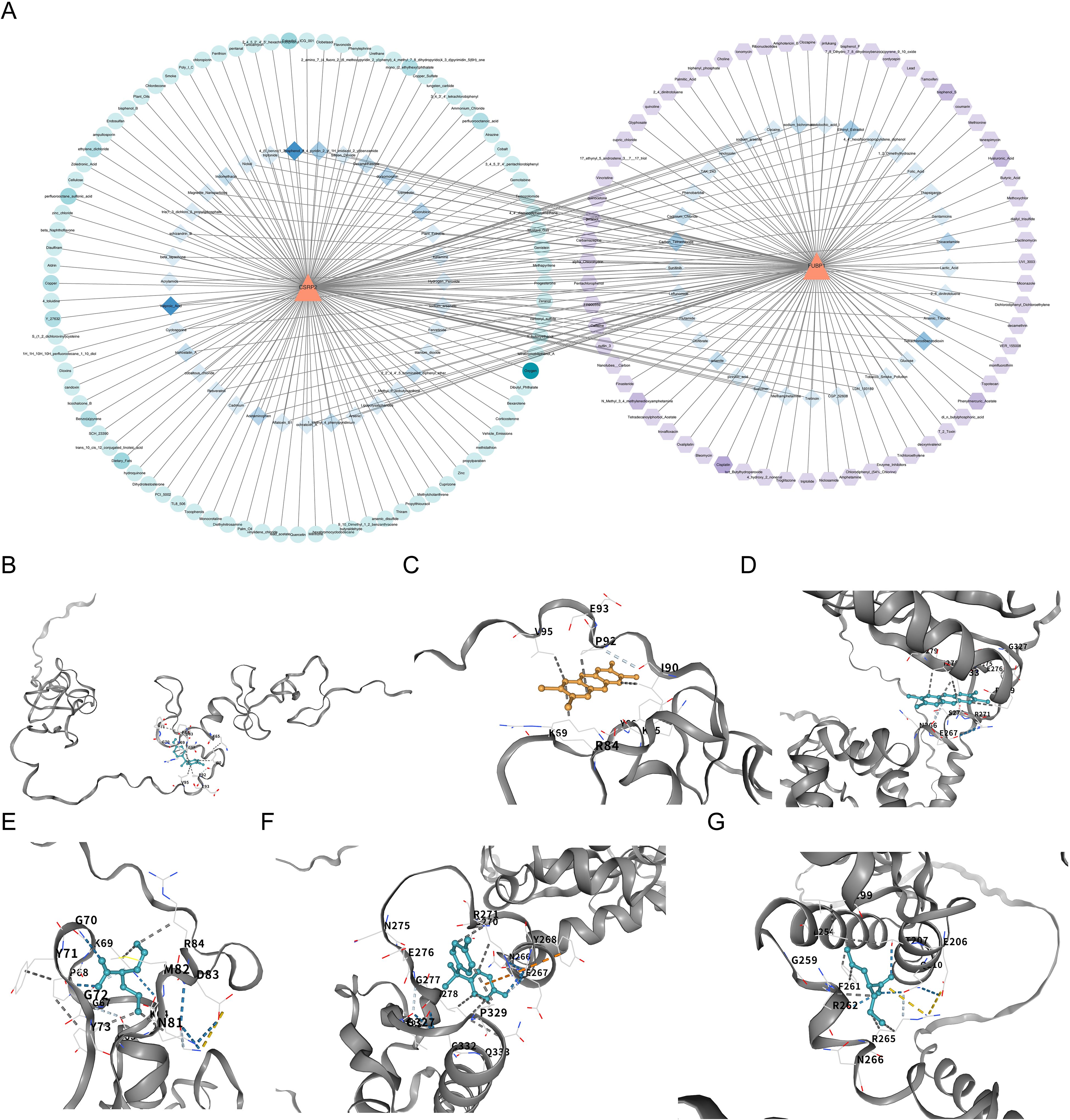 Panel A presents a complex network diagram with two central orange triangles connected to numerous nodes, one in light blue and the other in light purple, representing various relationships. Panels B to G illustrate protein structures in gray ribbon diagrams, highlighting interactions with colored annotations, including bonds and labels for specific residues and ligands. Each panel focuses on different molecular interactions and conformations.