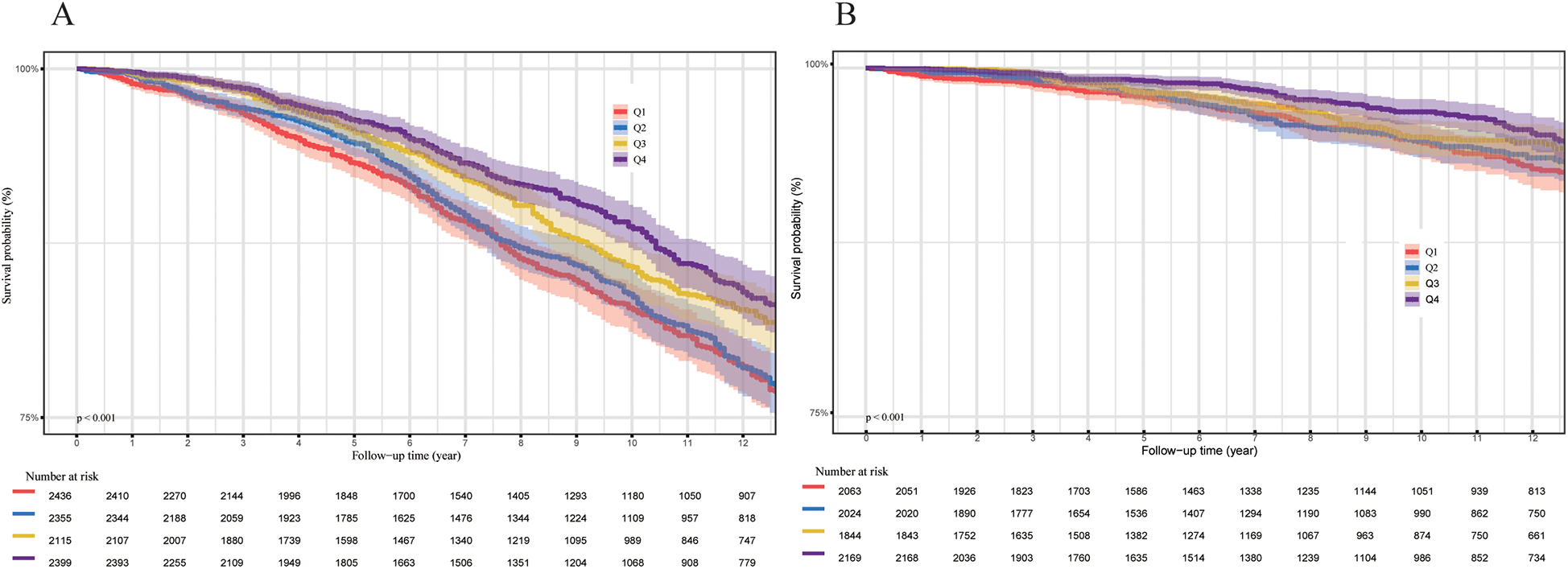 Survival probability line graphs labeled A and B, displaying probabilities over a 12-year follow-up period. Each graph includes four lines representing quartiles Q1 to Q4, distinguished by colors red, blue, yellow, and purple. The survival probability decreases over time in both graphs. The number at risk is detailed below each graph with corresponding data points. Both graphs indicate a p-value of less than 0.001.