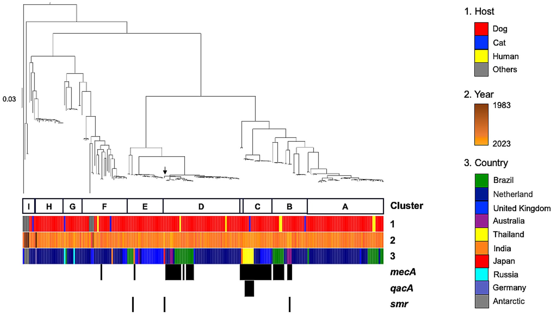 Phylogenetic tree illustrating genetic relationships among samples with a color-coded matrix showing host type, year of sample, and country of origin. Hosts include dogs, cats, humans, and others. Years range from 1983 to 2023, with countries represented by unique colors. Clusters are labeled A to I, displaying presence of genes mecA, qacA, and smr.