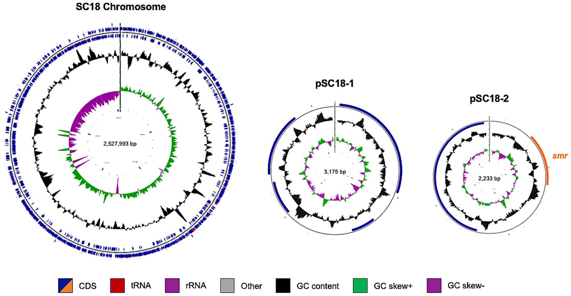 Circular diagrams represent the genetic organization of the SC18 chromosome and plasmids pSC18-1 and pSC18-2. Each circle displays features such as coding sequences (CDS), tRNA, rRNA, GC content, and GC skew. Plasmid pSC18-2 includes a marked