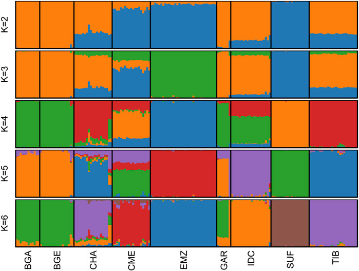 An admixture analysis bar plot depicting genetic structure across eight populations labeled as BGA, BGE, CHA, CME, EMZ, GAR, IDC, SUF, and TIB. Each row represents varying numbers of genetic clusters (K=2 to K=6), with different colors indicating different ancestral components within each population.