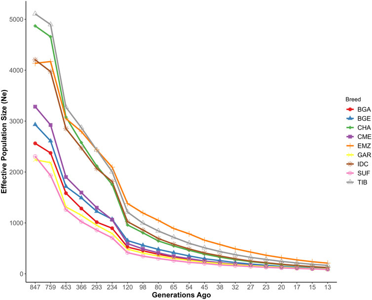 Line graph showing effective population size (Ne) over generations for nine breeds, identified by colored lines. Ne decreases from over 5000 to below 1000 as generations reduce from 847 to 13.