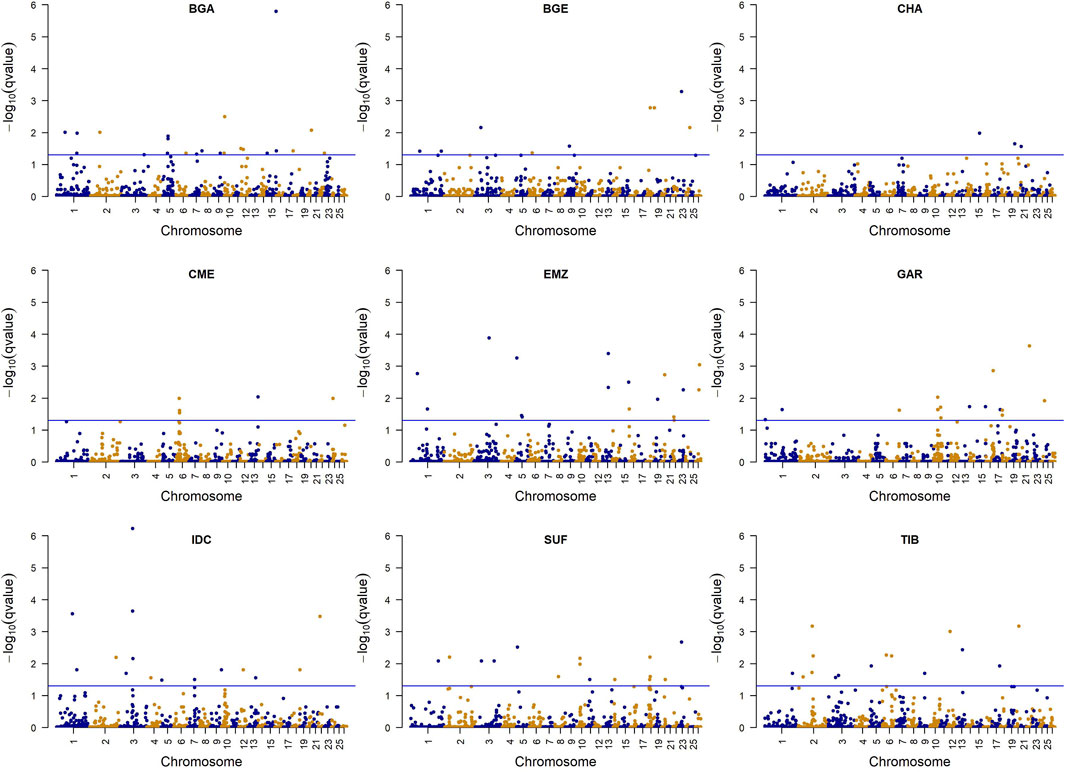 Nine scatter plots, each labeled with BGA, BGE, CHA, CME, EMZ, GAR, IDC, SUF, and TIB. Every plot shows points representing chromosome number on the x-axis against the negative logarithm of q-values on the y-axis. Dots are colored blue or orange, with a horizontal line at y=1.