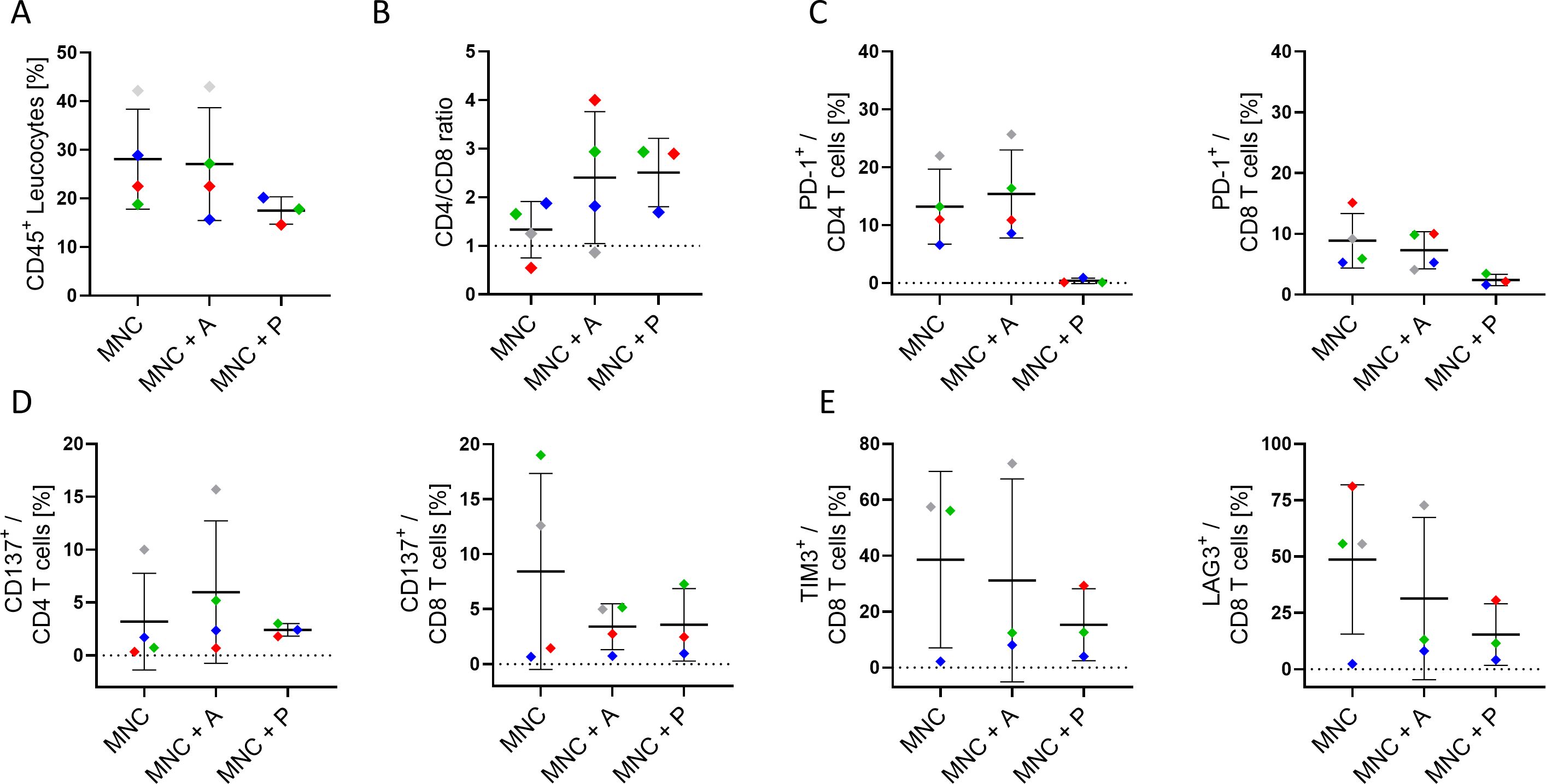 Graphs show various immune cell markers in three groups: MNC, MNC+A, MNC+P. Chart A displays CD45+ leukocytes, B shows CD4/CD8 ratio, C measures PD-1+ in CD4 and CD8 T cells, D presents CD137+ in CD4 and CD8 T cells, and E evaluates TIM3+ and LAG3+ in CD8 T cells. Each dot represents individual data points with bars indicating means and error margins.
