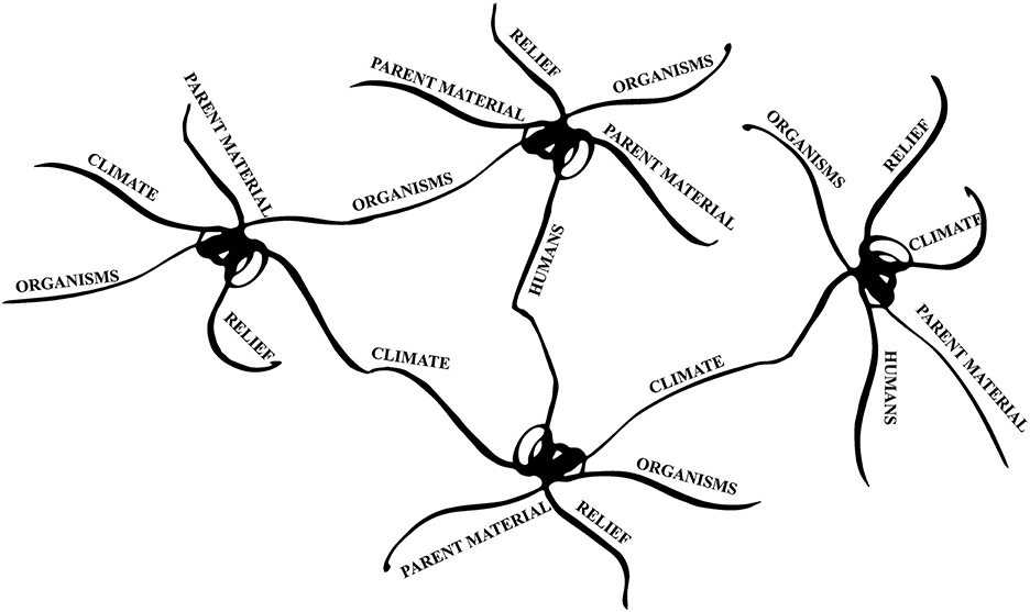 Illustration of interconnected loops labeled with factors influencing soil formation: climate, organisms, parent material, relief, and humans. These loops demonstrate the complex and interrelated nature of soil formation processes.