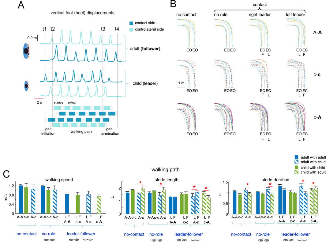 Panel A illustrates vertical foot (heel) displacements for adults (followers) and children (leaders) with graphs showing variations over time. Panel B displays movement paths under different contact conditions, categorized by role. Panel C presents bar graphs comparing walking speed, stride length, and stride duration under different scenarios, with significant differences marked by asterisks. Statistical comparisons are shown for various combinations of adults and children.