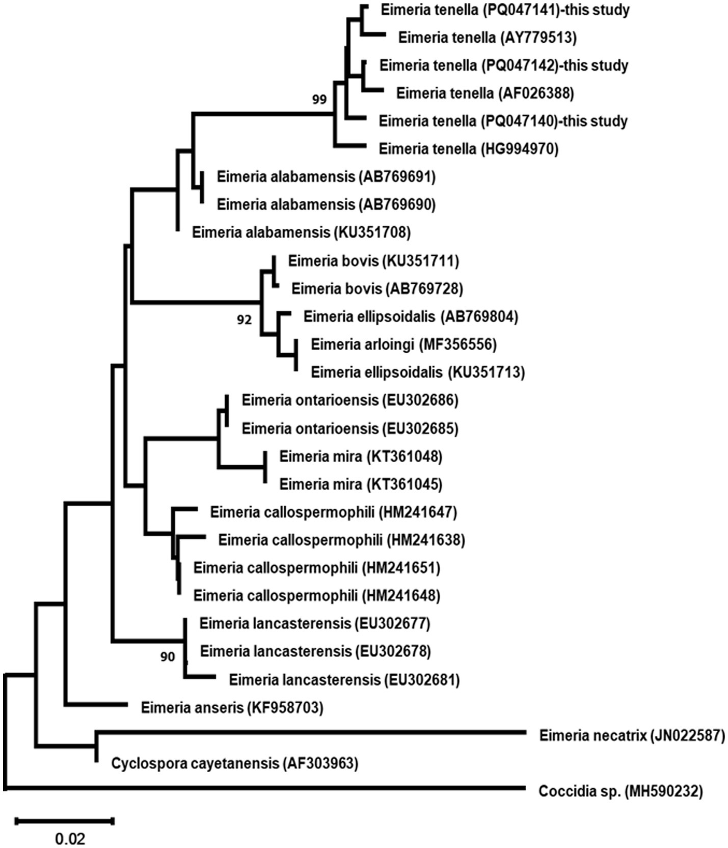 Phylogenetic tree illustrating the relationships among various Eimeria species, including Eimeria tenella from this study and other studies, along with related species such as Eimeria alabamensis, Eimeria bovis, and more. It also features branch support values like 99 and 92, with a scale bar indicating genetic distance.