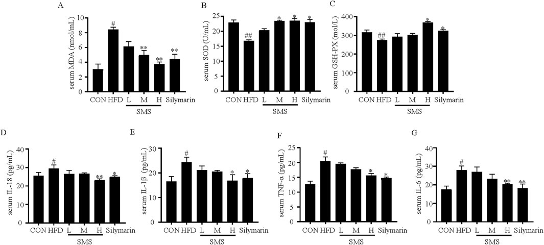 Bar graphs A to G compare serum markers across different conditions: CON, HFD, L, M, H, and Silymarin. A shows MDA levels, B shows SOD, C shows GSH-PX, D shows IL-18, E shows IL-1β, F shows TNF-α, and G shows IL-6. Notable differences are marked with symbols indicating statistical significance.
