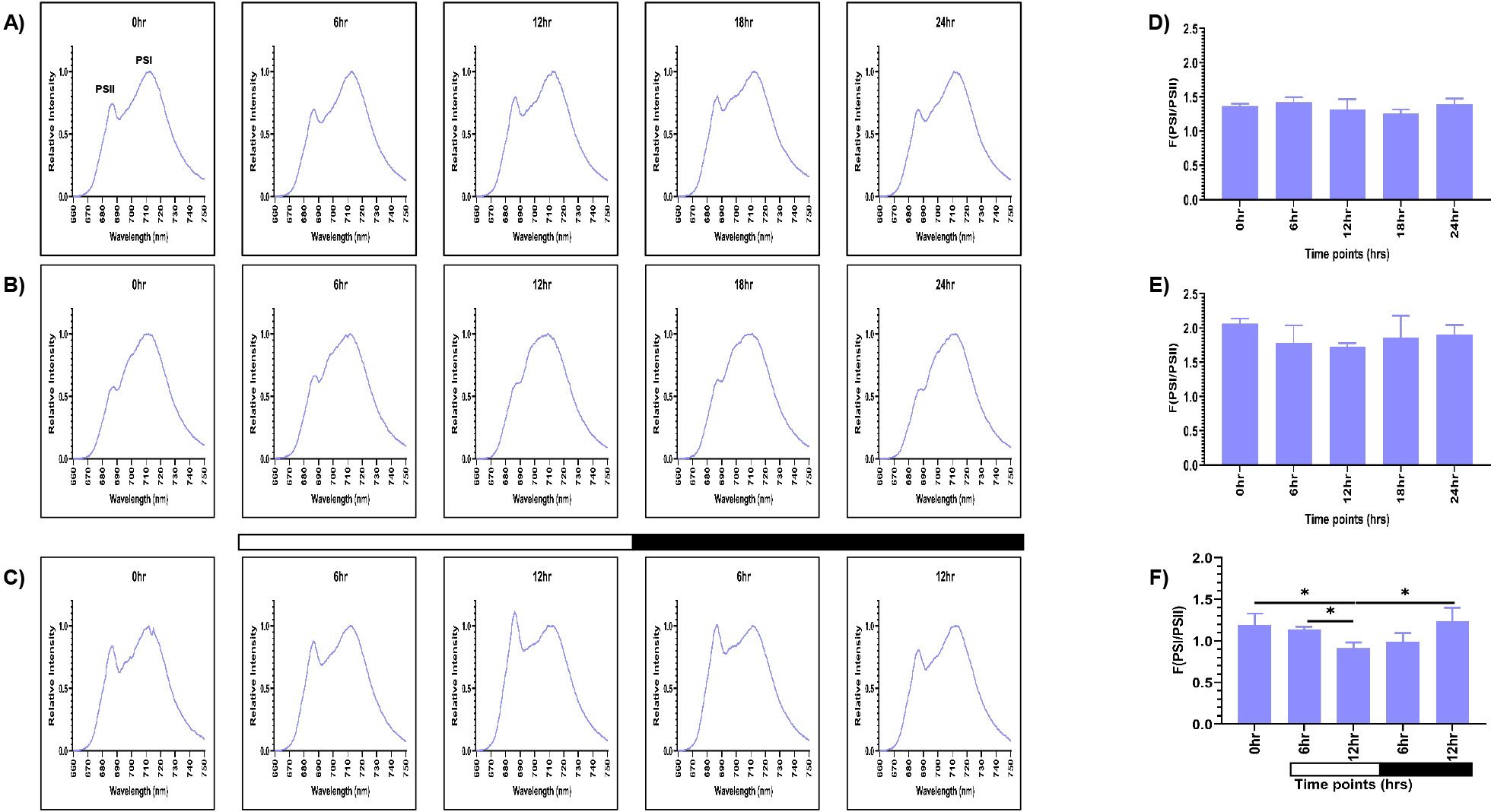 Figures labelled A to C showing 77K fluorescence emission spectra of PSI and PSII in C. reinhardtii under three conditions: continuous light (LL), continuous dark (DD), and 12:12 h light-dark synchrony (LD) across different time points. Spectral traces show distinct profiles depending on the condition. Bar graphs labelled D to F depict PSI/PSII fluorescence ratios for LL, DD, and LD conditions, at each time point. Data represent the mean of three biological replicates with standard deviation (SD) shown as error bars. Statistical significance was assessed using two-way ANOVA.