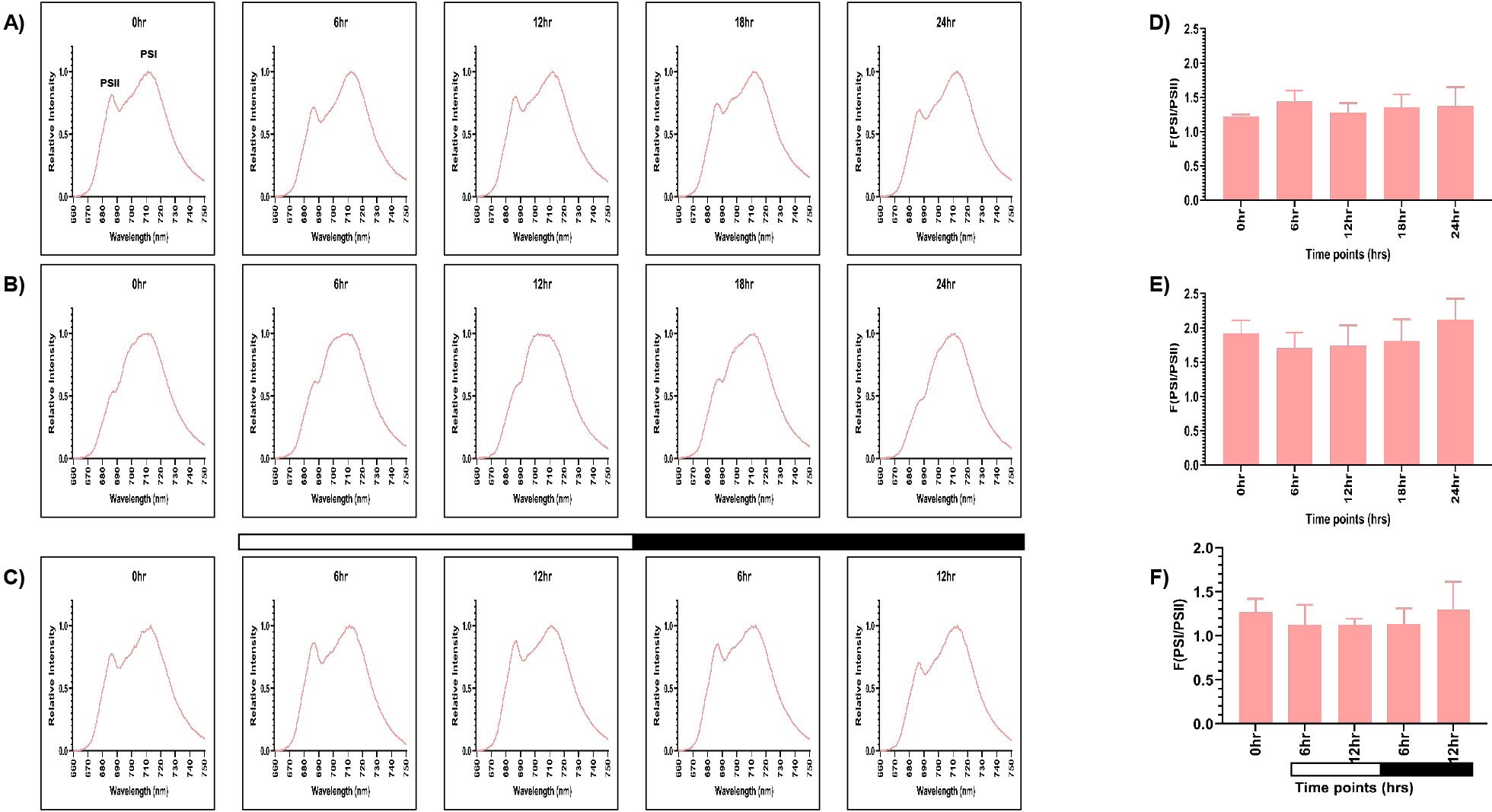 Figures labelled A to C showing photosystem activity in C. reinhardtii TOR kinase mutant using 77K fluorescence spectroscopy for continuous light (LL), continuous dark (DD), and 12:12 h light-dark synchrony (LD) across all time points. (D–F) Bar graphs showing PSI/PSII fluorescence ratio for each condition (LL, DD, LD). Data represent the average of three biological replicates.