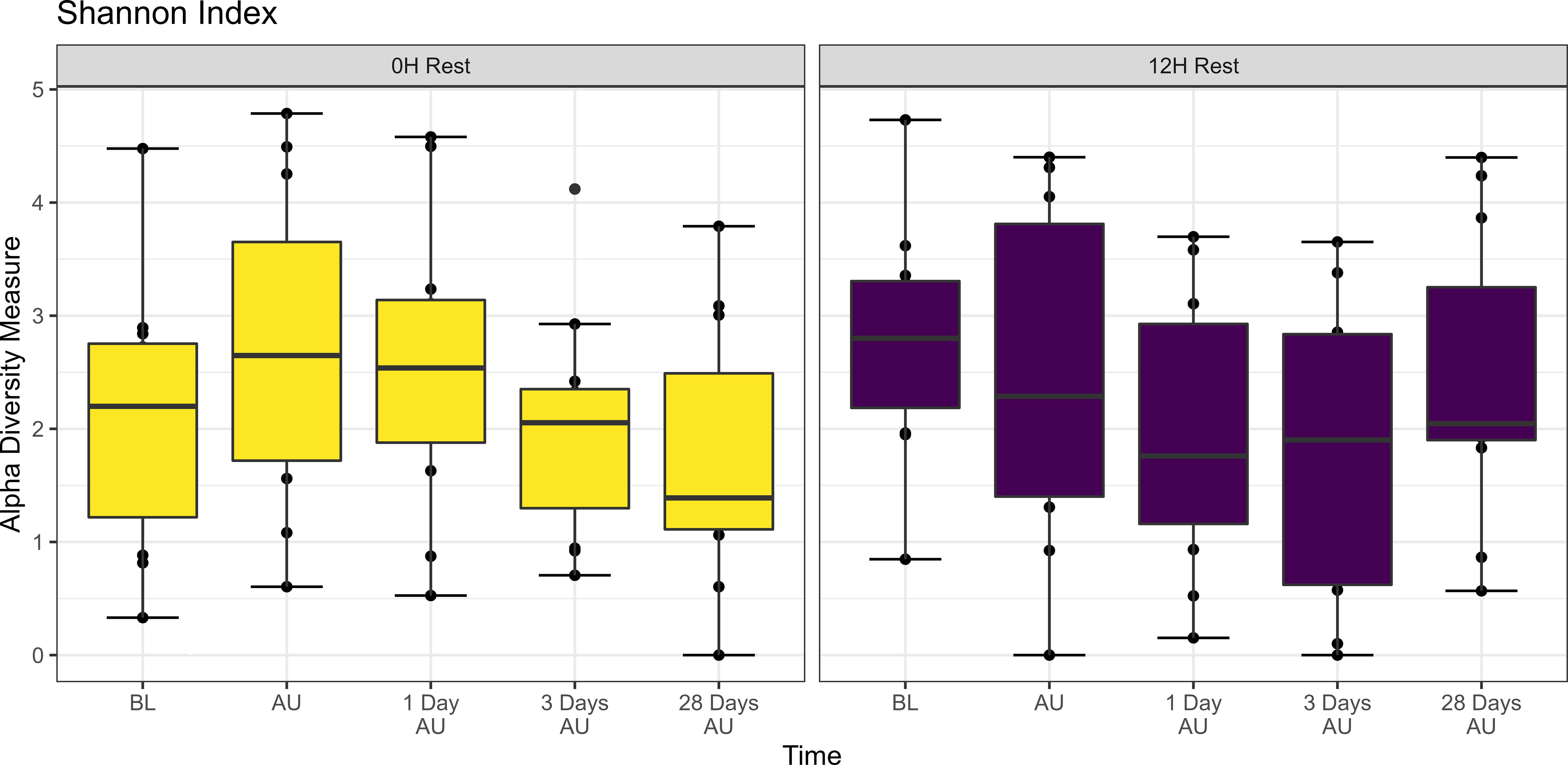 Box plots showing the Shannon Index of alpha diversity across different time points. Left graph (yellow) represents 0-hour rest, right graph (purple) represents 12-hour rest. X-axis indicates time stages: baseline (BL), acute (AU), and 1, 3, 28 days post-acute. Y-axis represents the Shannon Index, ranging from 0 to 5. Plots include median lines, interquartile ranges, and outliers.