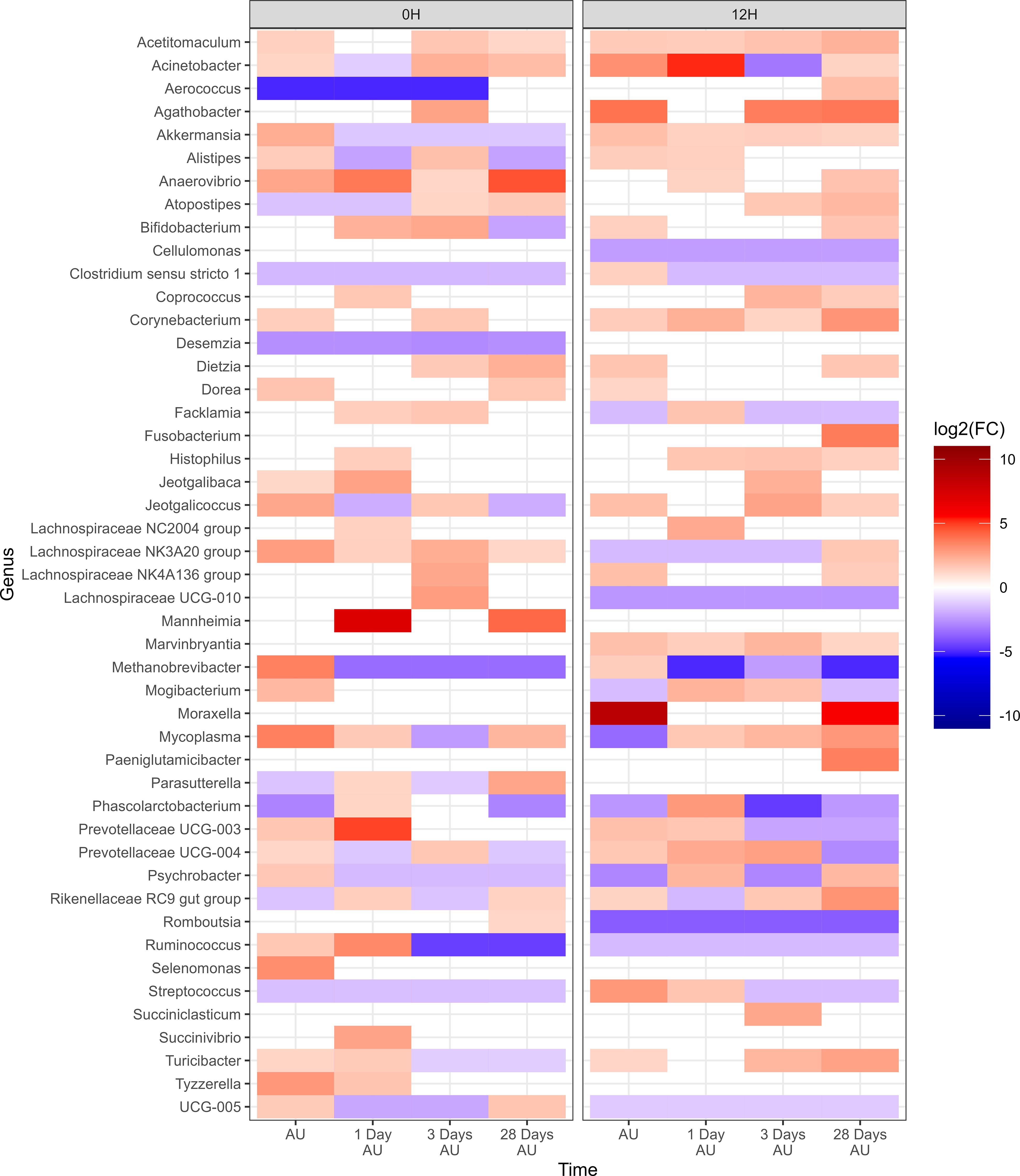 Heatmap illustrating the log2 fold change of various bacterial genera over time periods 0H and 12H, across 1 day, 3 days, and 28 days. Color gradient from blue to red indicates negative to positive changes.
