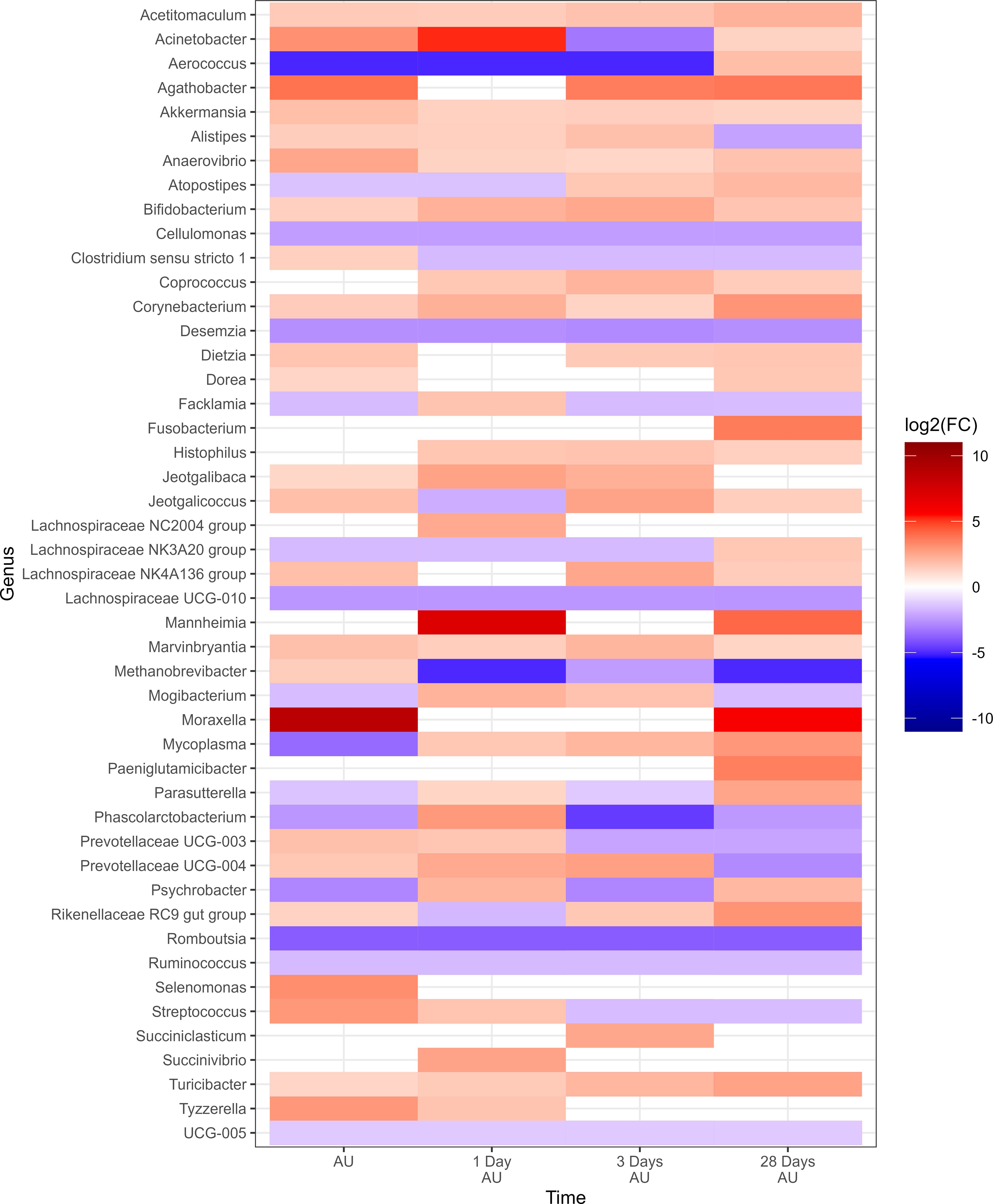 Heatmap showing the log2 fold change of various bacterial genera over time (AU, 1 Day AU, 3 Days AU, 28 Days AU). Rows represent genera, columns represent time points. A color gradient from red to blue indicates positive to negative changes, with red signifying higher values and blue lower.