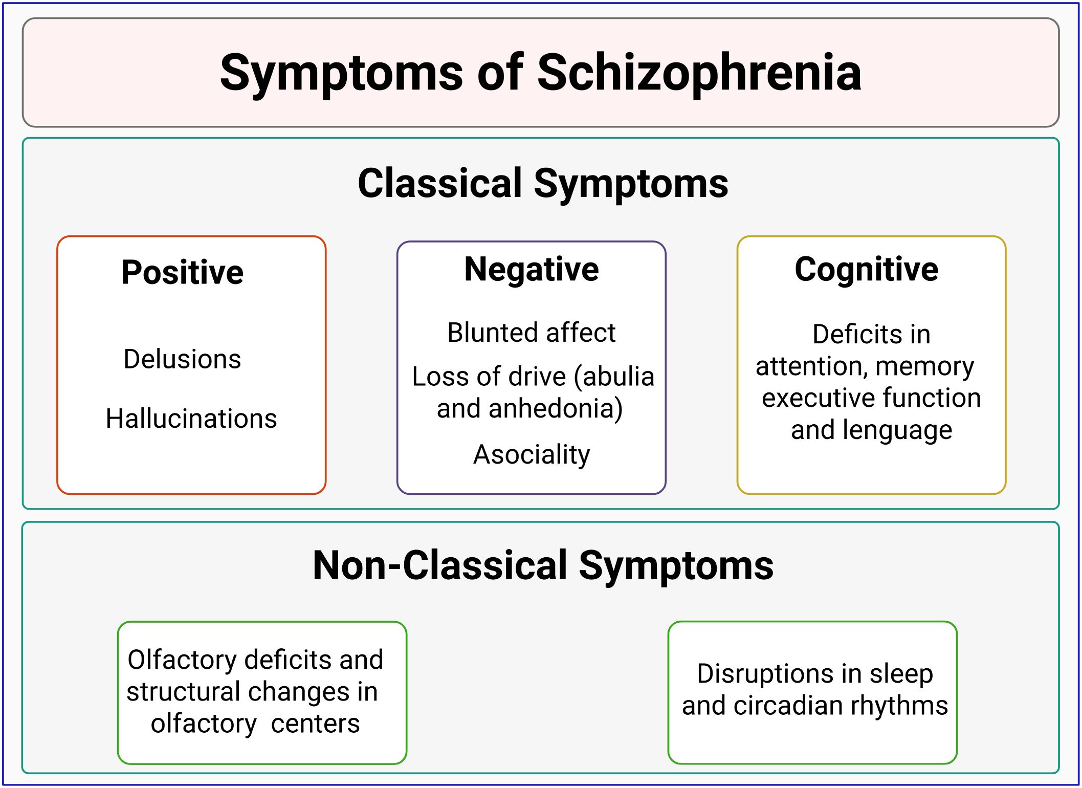 Symptoms of schizophrenia are categorized into classical and non-classical symptoms. Classical symptoms include positive (delusions, hallucinations), negative (blunted affect, loss of drive, asociality), and cognitive (deficits in attention, memory, executive function, language). Non-classical symptoms cover olfactory deficits, structural changes in olfactory centers, and disruptions in sleep and circadian rhythms.