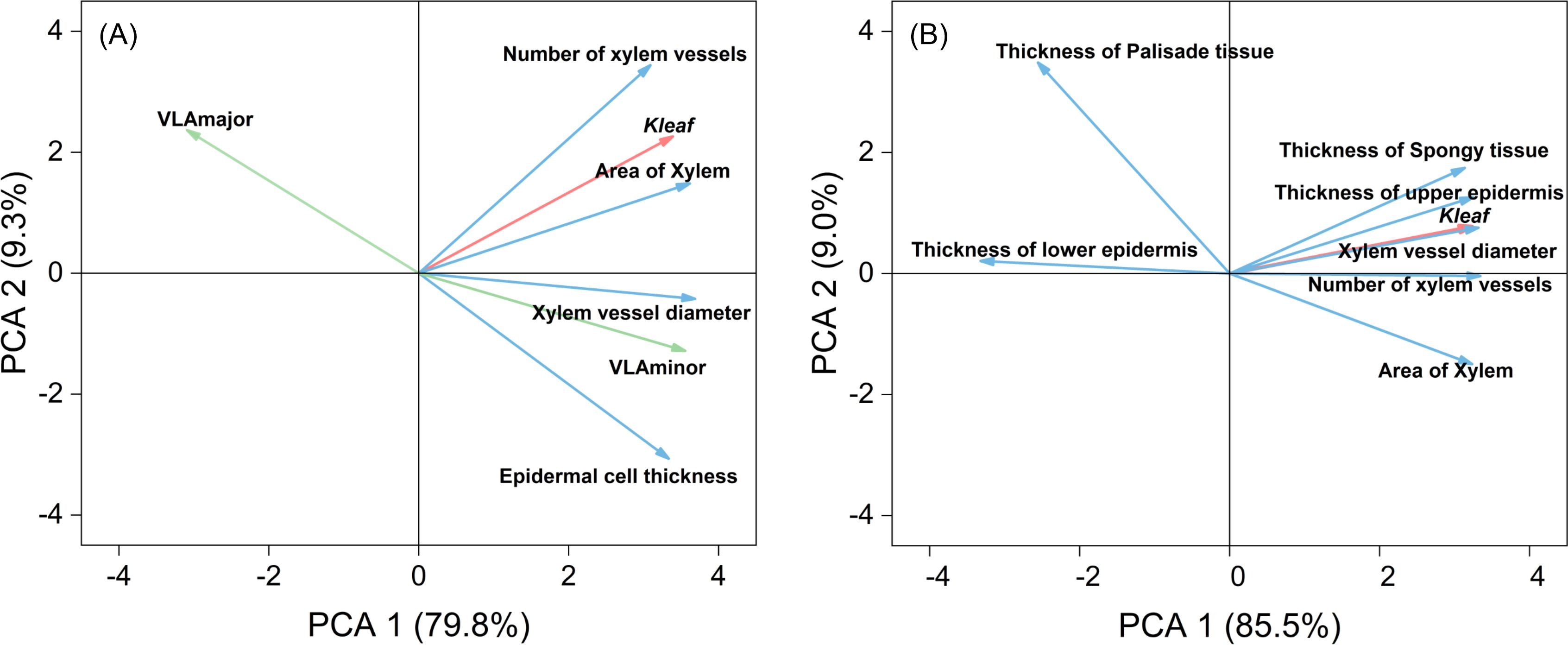 Two principal component analysis (PCA) biplots display the relationships among plant traits. Plot (A) shows traits like number of xylem vessels and epidermal cell thickness. Plot (B) features traits such as thickness of palisade tissue and lower epidermis. The axes represent PCA 1 and PCA 2, with percentages indicating the variance explained by each component. Arrows represent the contribution of each trait to the components.