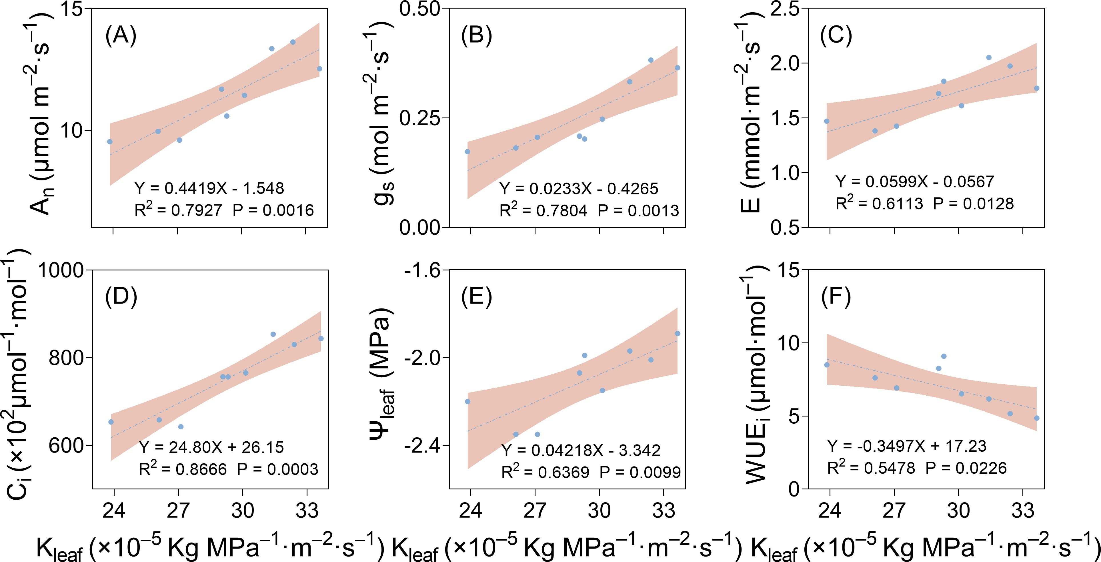 Six scatter plots with trend lines and shaded confidence intervals. Each plot examines the relationship between \(K_{\text{leaf}}\) and different physiological metrics: (A) \(A_n\), (B) \(g_s\), (C) \(E\), (D) \(C_i\), (E) \(\Psi_{\text{leaf}}\), and (F) \(WUE_i\). Each plot includes an equation, \(R^2\) value, and p-value, indicating varying degrees of correlation and statistical significance across plots.