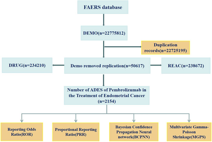 Flowchart illustrating data processing from the FAERS database. Starting with DEMO records of 2,277,5812, duplication records of 2,272,5195 are removed, leaving 50,617. This splits into DRUG (234,210) and REAC (238,672). Further filtering identifies 2,154 adverse drug event records for Pembrolizumab in endometrial cancer treatment. The outcomes are analyzed through Reporting Odds Ratio (ROR), Proportional Reporting Ratio (PRR), Bayesian Confidence Propagation Neural Network (BCPNN), and Multivariate Gamma-Poisson Shrinkage (MGPS).