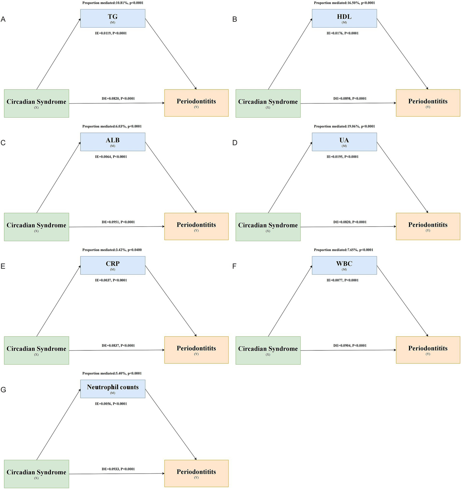 Diagram illustrating pathways between Circadian Syndrome, specific biomarkers, and Periodontitis. Seven panels (A-G) each display a distinct biomarker: TG, HDL, ALB, UA, CRP, WBC, Neutrophil counts. Arrows indicate causal paths with mediation proportions and statistical significance (P-values).