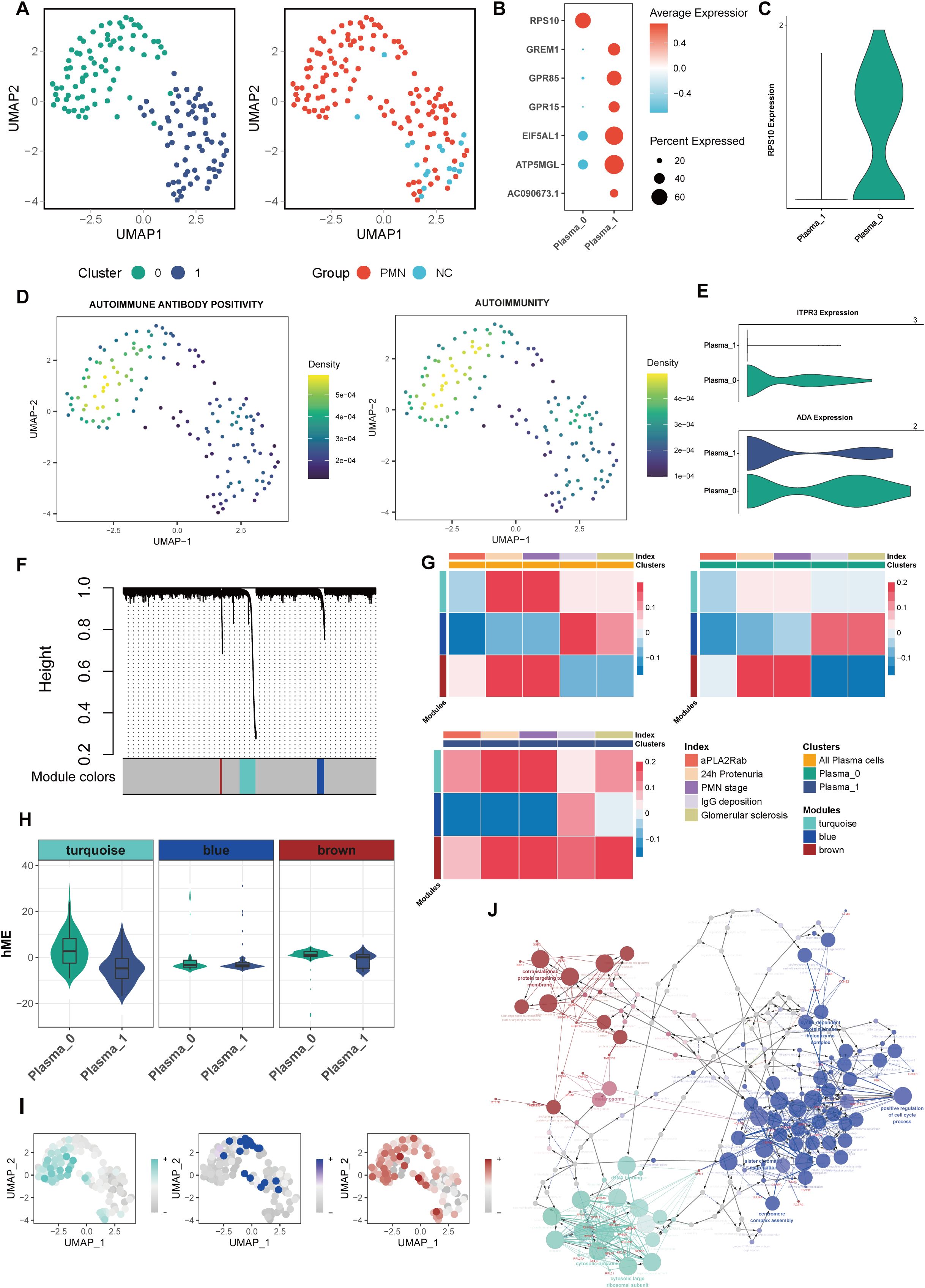 Composite image showing various data visualizations. Panels A and D depict UMAP scatter plots with clusters colored differently, indicating distinct data groups. Panel B shows a bubble plot with gene expression levels. Panels C, E, and H present violin plots displaying expression distributions across plasma groups. Panel F is a dendrogram with module color bars representing hierarchical clustering. Panel G contains heatmaps correlating indices with clusters. Panel I includes additional UMAP plots with varying color intensities, while panel J is a network diagram illustrating connections between different nodes, color-coded for distinct categories.