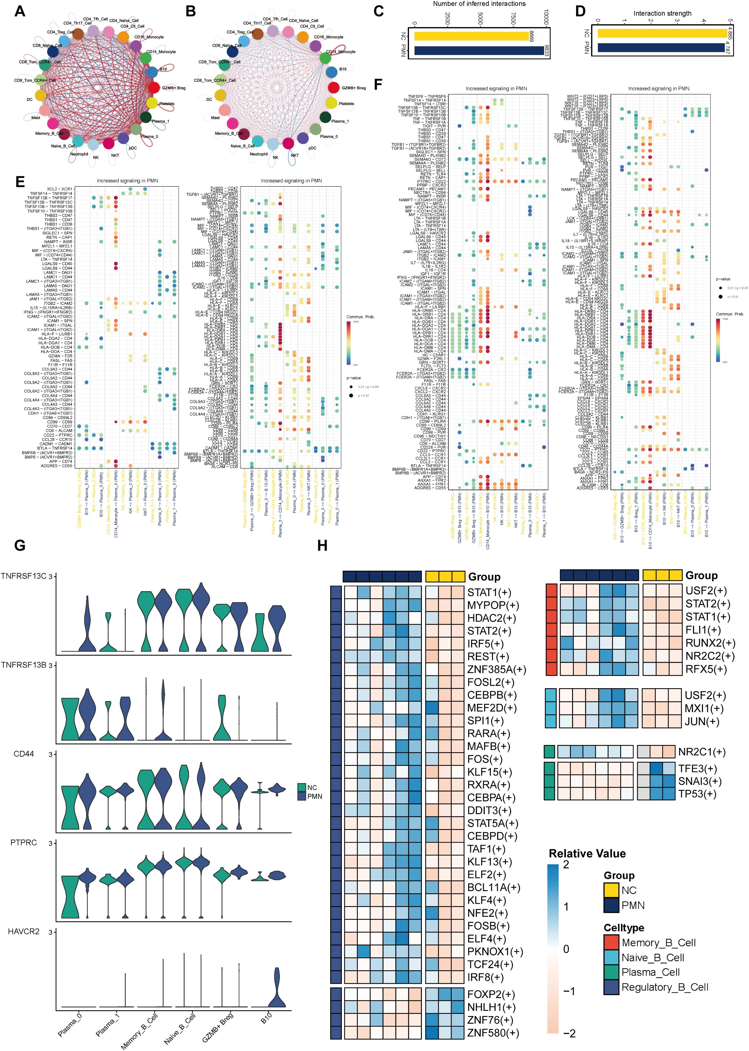Diagram showing various data visualizations related to cell signaling and genetic interactions. Panels A and B depict network graphs of cell type interactions. Panels C and D show bar graphs of inferred interactions and interaction strength. Panels E and F display dot plots with color-coded expression levels for genes across cell types. Panel G presents violin plots for four genes comparing normal and PMN samples. Panel H includes heat maps indicating relative values for different transcription factors across groups and cell types.