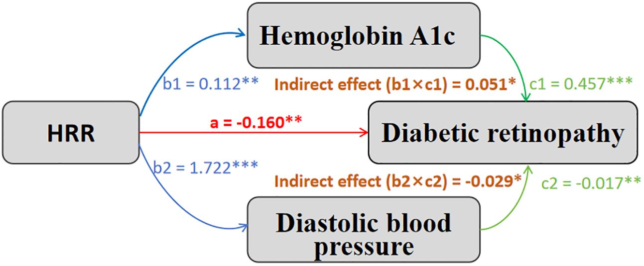 Mediation model: HRR impacts diabetic retinopathy via Hemoglobin A1c, diastolic blood pressure. Effects: b1=0.112, b2=1.722, a=-0.160, c1=0.457, c2=-0.017. Indirect effects: 0.051, -0.029. Colour-coded paths. Significance: *, p<0.05; **, p<0.01; ***, p<0.001.