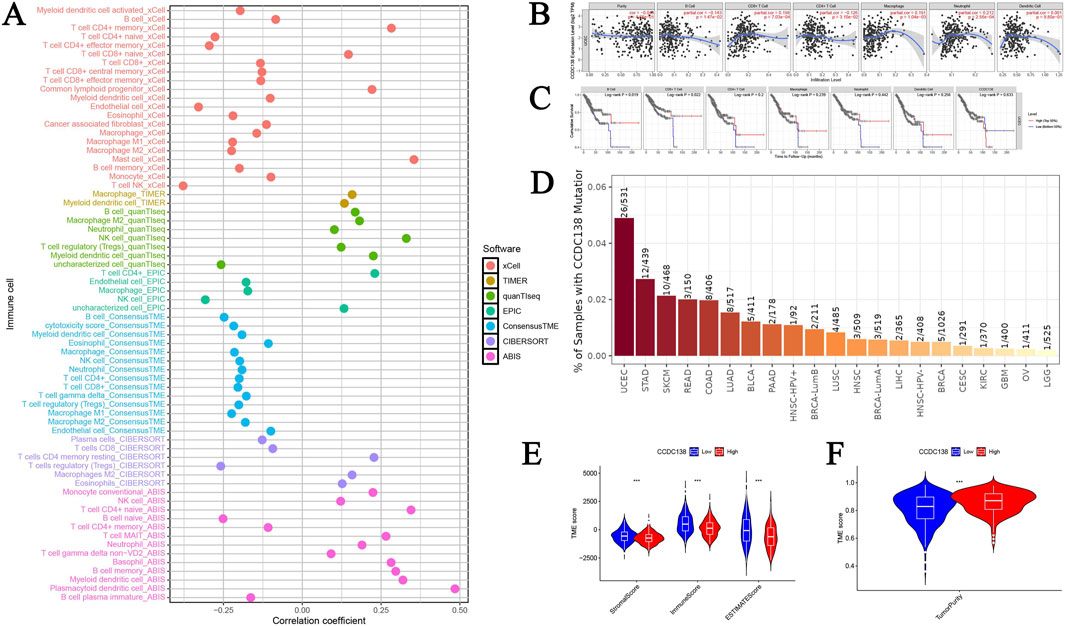 Image showing a series of charts labeled A to F, depicting relationships between CCDC138 and various immune cells. Panel A is a dot plot with correlation coefficients for different immune cells, color-coded by software. Panels B and C present scatter and survival plots, showing relationships with immune cell metrics. Panel D is a bar chart displaying the percentage of samples with CCDC138 mutations across cancer types. Panels E and F show violin plots comparing CCDC138 levels against immune scores and tumor purity. The charts highlight statistical data from various analytical tools and cancer studies.
