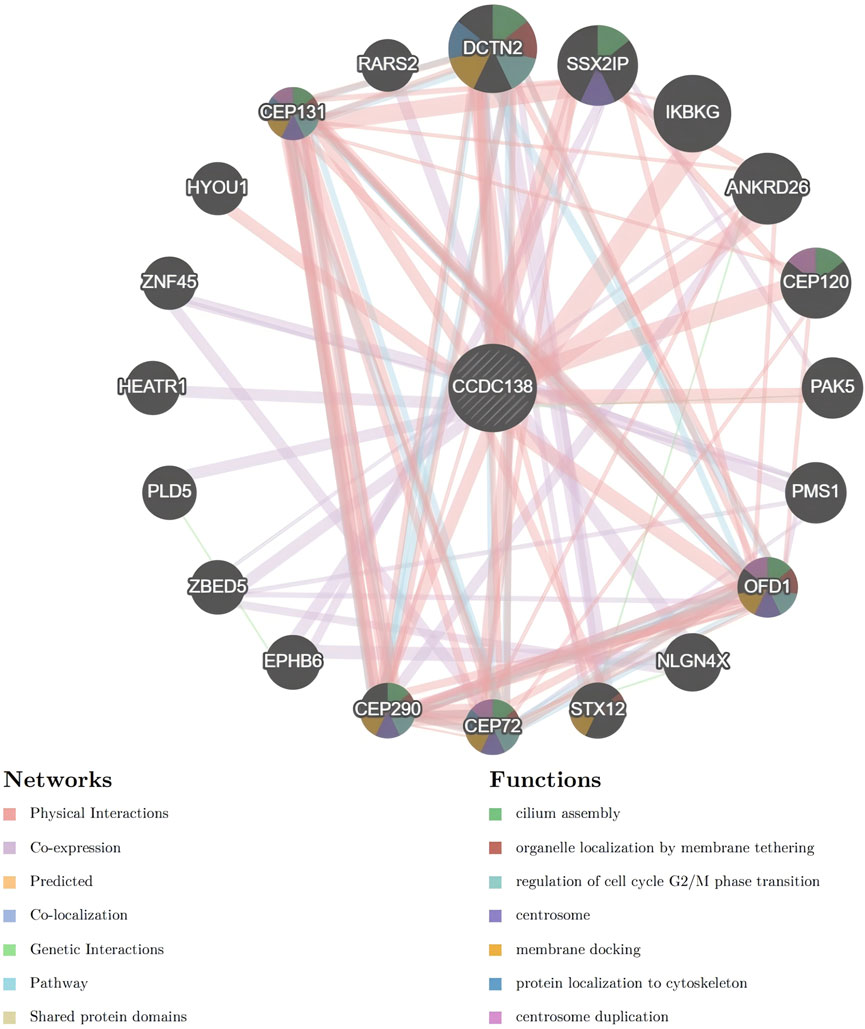 Network diagram showing interactions between various proteins, represented as labeled dark circles connected by color-coded lines. The connections illustrate different types of networks, such as physical interactions and co-expression. A legend explains each color code for network and function, with functions like cilium assembly and centrosome duplication indicated by color segments within the circles.