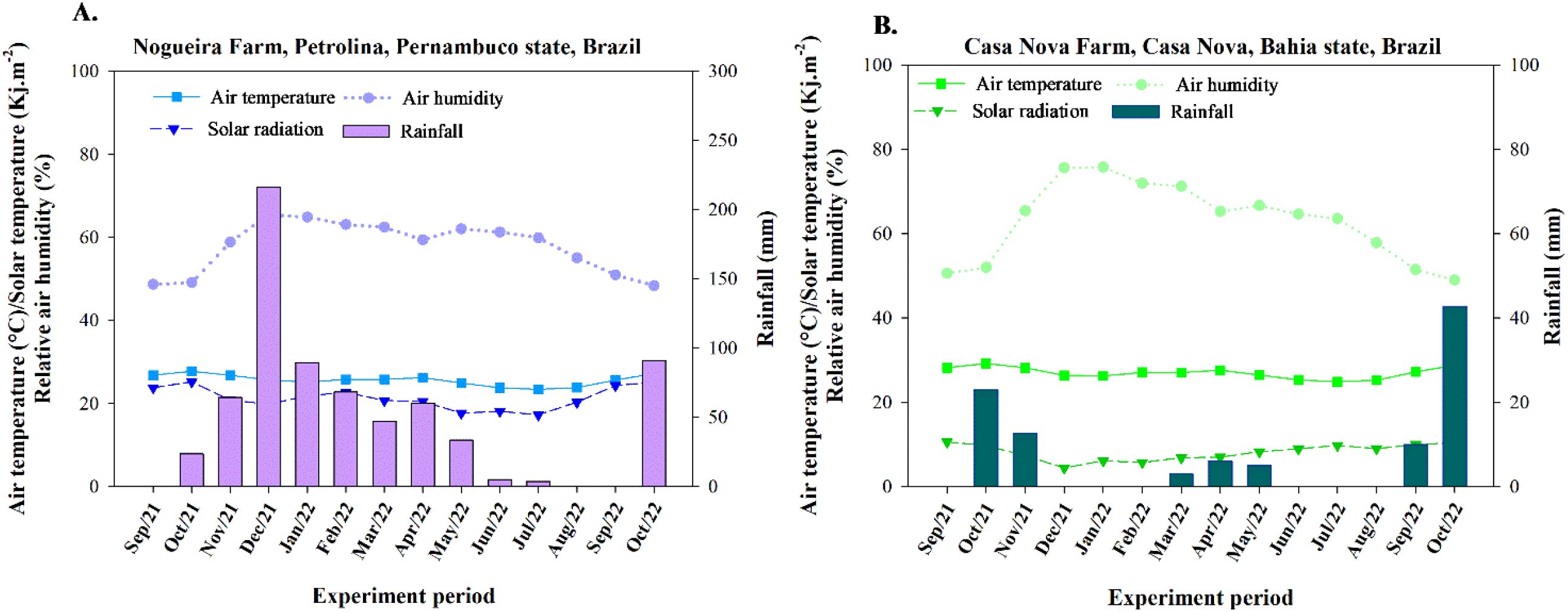 Two graphs compare climatic data from September 2021 to October 2022 at Nogueira Farm in Pernambuco and Casa Nova Farm in Bahia, Brazil. Graph A shows air temperature, solar radiation, air humidity, and rainfall. Graph B shows similar data for Casa Nova. Both graphs depict fluctuations in monthly rainfall and relative stability in temperature, solar radiation, and humidity.