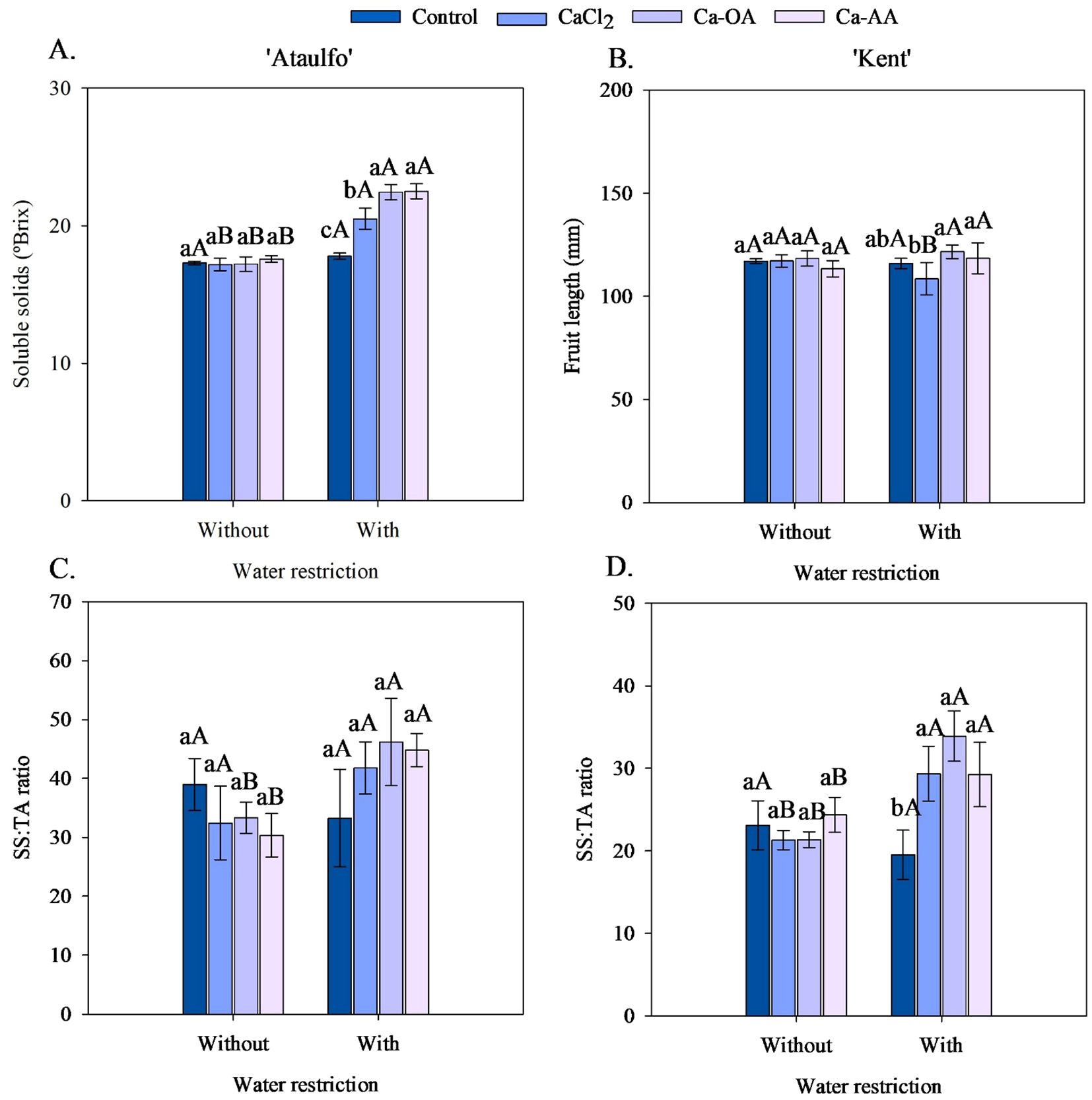 Bar charts showing the effects of different treatments under water restriction on mango varieties. Panel A shows soluble solids in 'Ataulfo' mangoes, Panel B shows fruit length in 'Kent' mangoes, Panel C shows SS/TA ratio in 'Ataulfo', and Panel D shows SS/TA ratio in 'Kent'. Treatments include Control, CaCl2, Ca-OA, and Ca-AA. Each panel compares with and without water restriction, using various color bars corresponding to treatments, with statistical annotations on the bars.