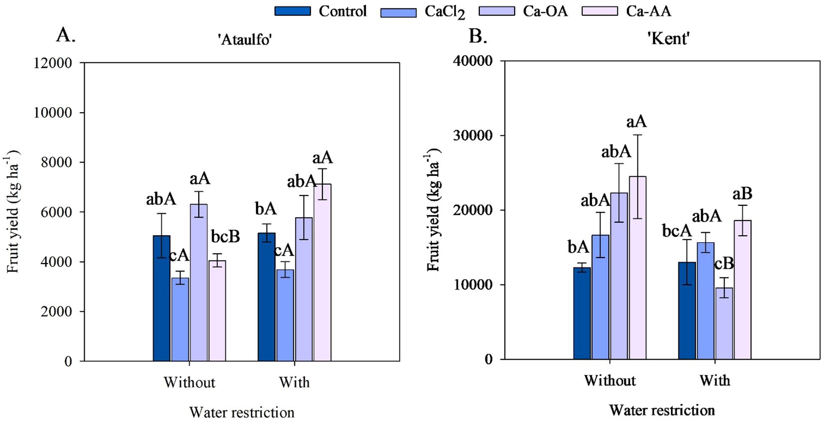 Bar graphs comparing fruit yield measured in kilograms per hectare for two mango varieties, 'Ataulfo' and 'Kent', under conditions with and without water restriction. Each variety is tested with different treatments: control, CaCl₂, Ca-OA, and Ca-AA. 'Ataulfo' yields range up to 8000 kg/ha, while 'Kent' yields reach 35000 kg/ha. Control groups generally have lower yields. Treatments and restrictions affect yield significantly, indicated by labeled statistical groupings on each bar.
