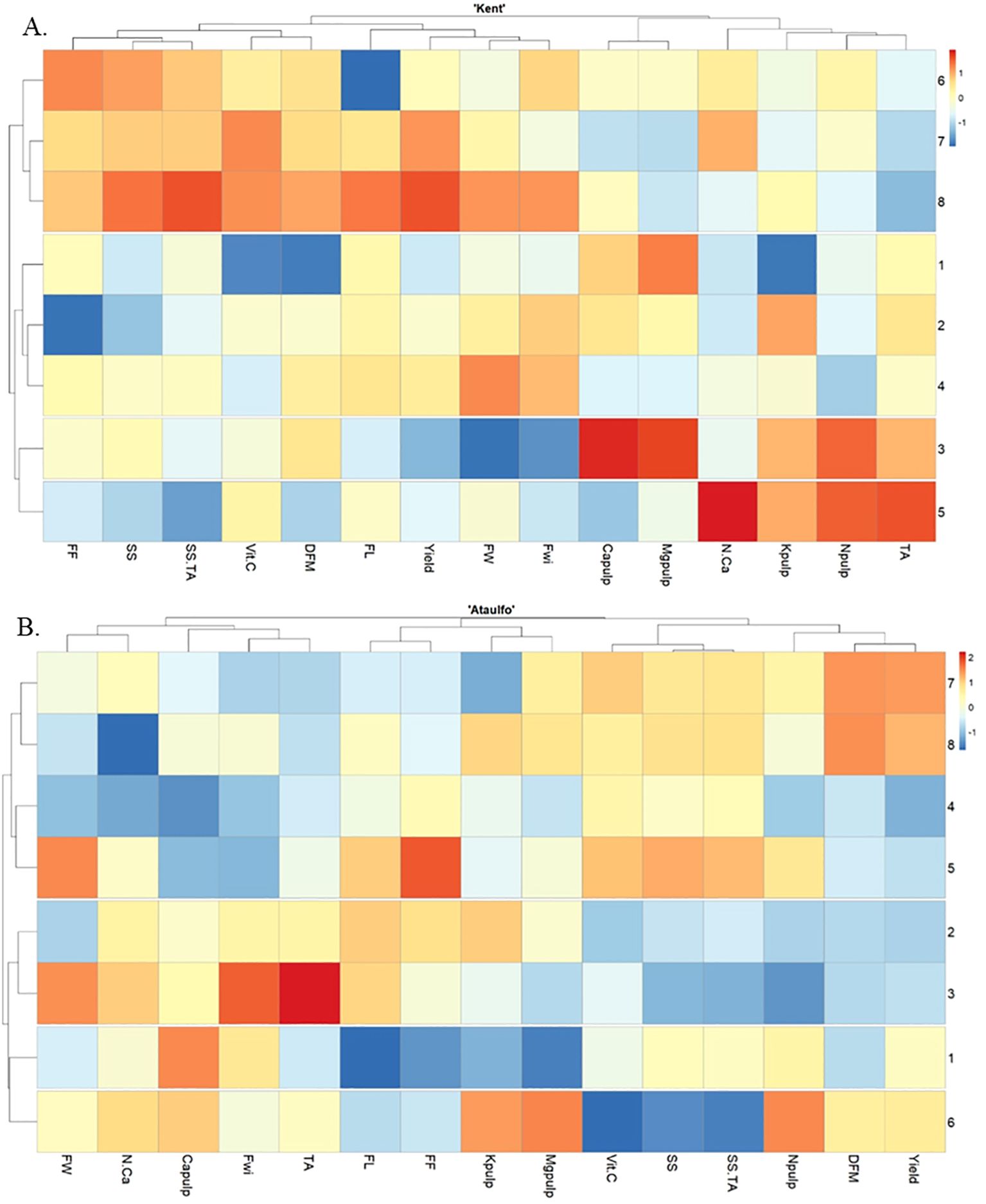 Two heat maps compare genetic expression in different mango varieties. Map A displays data for “Kent,” while map B shows data for “Ataulfo.” Color intensity varies, highlighting expression levels across various conditions, with red indicating high expression and blue indicating low expression. Each map is organized by variables on one axis and treatments 1-8 on the other.