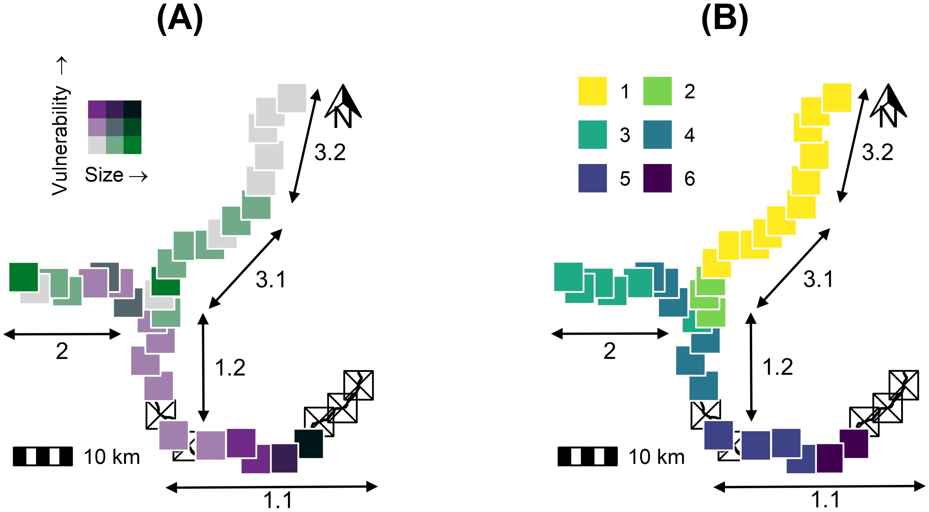 Graphic with two panel comparisons (A) and (B), displaying stacked colored squares aligned in varying directions. Arrows indicate movement with labels 3.2, 3.1, 1.2, 1.1, and 2. Color scales represent size and vulnerability, with a metric scale indicating 10 kilometers. Panel (A) uses a gradient from purple to green, while panel (B) employs shades of yellow, green, and blue, labeled 1 to 6.