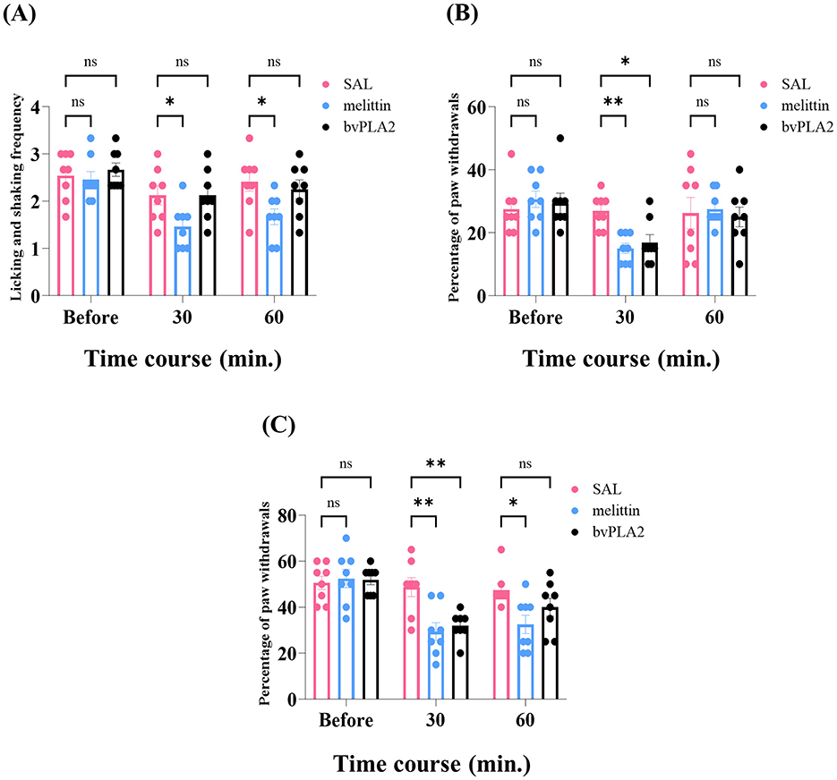 Graphs A, B, and C show the effects of treatments on licking, shaking frequency, and paw withdrawal percentages over time. Each graph compares SAL (pink), melittin (blue), and bvPLA2 (black) treatments at time points: before, 30, and 60 minutes. Statistical significance is indicated by asterisks, with