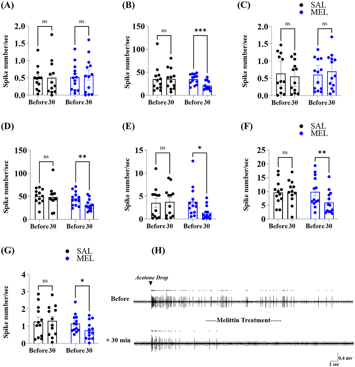 Graphs labeled A to G compare spike numbers per second for SAL (black) and MEL (blue) treatments before and 30 minutes after an event. Significant differences are marked with asterisks, with MEL generally showing lower spikes. Panel H displays before and 30 minutes after acetone drop electrophysiological recordings, showing reduced activity post-melittin treatment.