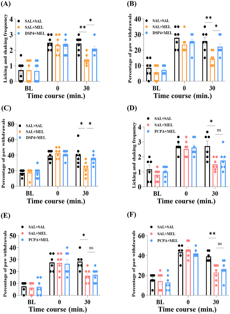 Graphical summary of a study showing the effects of various treatments on licking and shaking frequency and percentage of paw withdrawals over time. Panels A, C, E depict treatments SAL+SAL, SAL+MEL, and DSP4+MEL; Panels B, D, F show SAL+SAL, SAL+MEL, and PCPA+MEL. Measurements were taken at baseline, 0, and 30 minutes post-treatment. Significant differences are marked with asterisks.