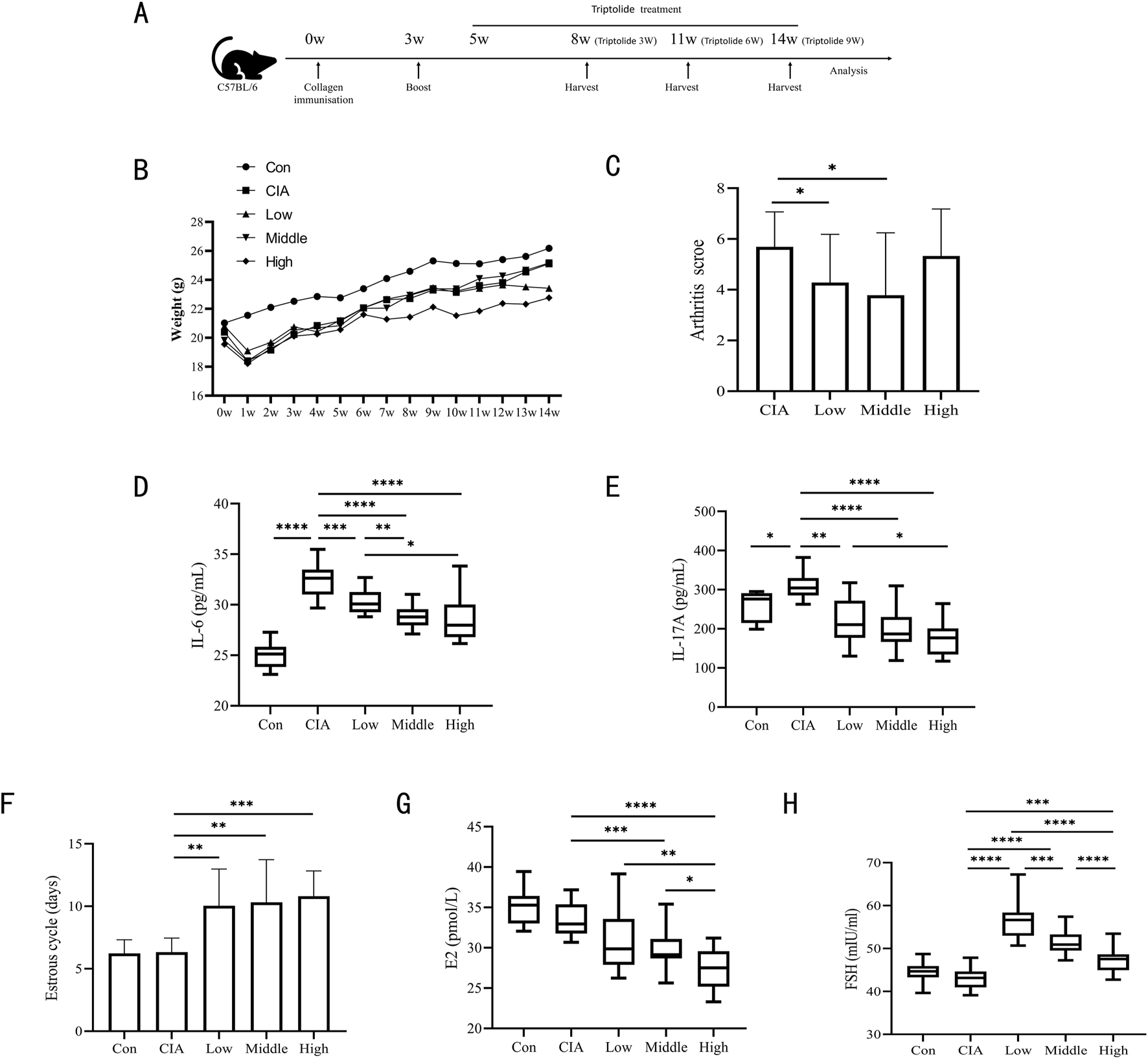 Scientific illustration showing an experimental timeline and several related graphs. Panel A outlines the experimental design with collagen immunization and triptolide treatments over 14 weeks in mice. Panel B shows a line graph of mouse weight changes over time. Panel C presents a bar graph of arthritis scores across different groups. Panels D, E, G, and H include box plots of IL-6, IL-17A, E2, and FSH levels, respectively, in control and experimental groups. Panel F shows a bar graph of estrous cycle length. Asterisks indicate statistical significance.