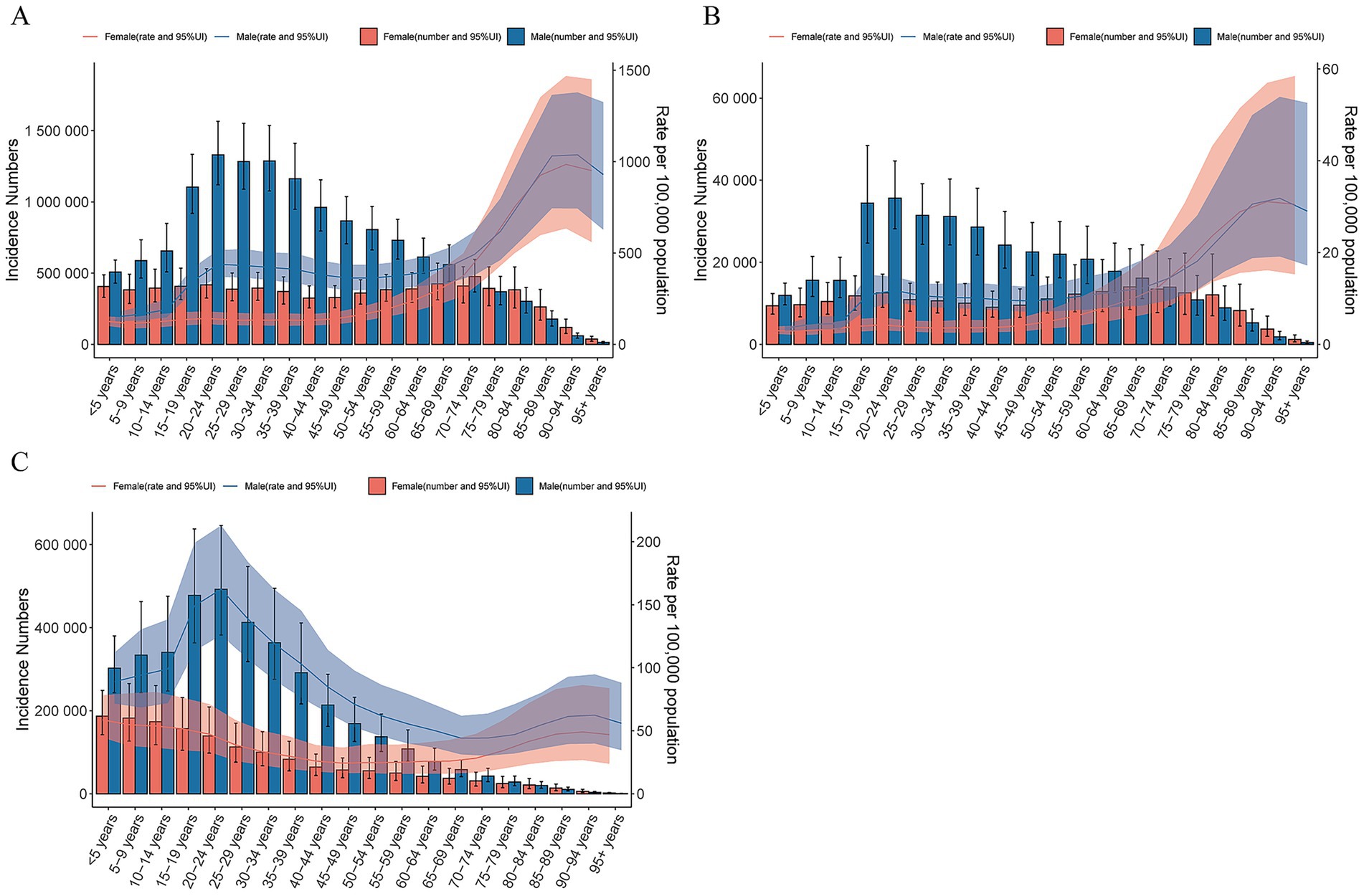 Bar and line graphs labeled A, B, and C compare incidence numbers and rates per 100,000 population across various age groups, separated by gender. Graphs show male and female data with confidence intervals marked, indicating trends over age ranges from less than 5 years to 95 years and above.