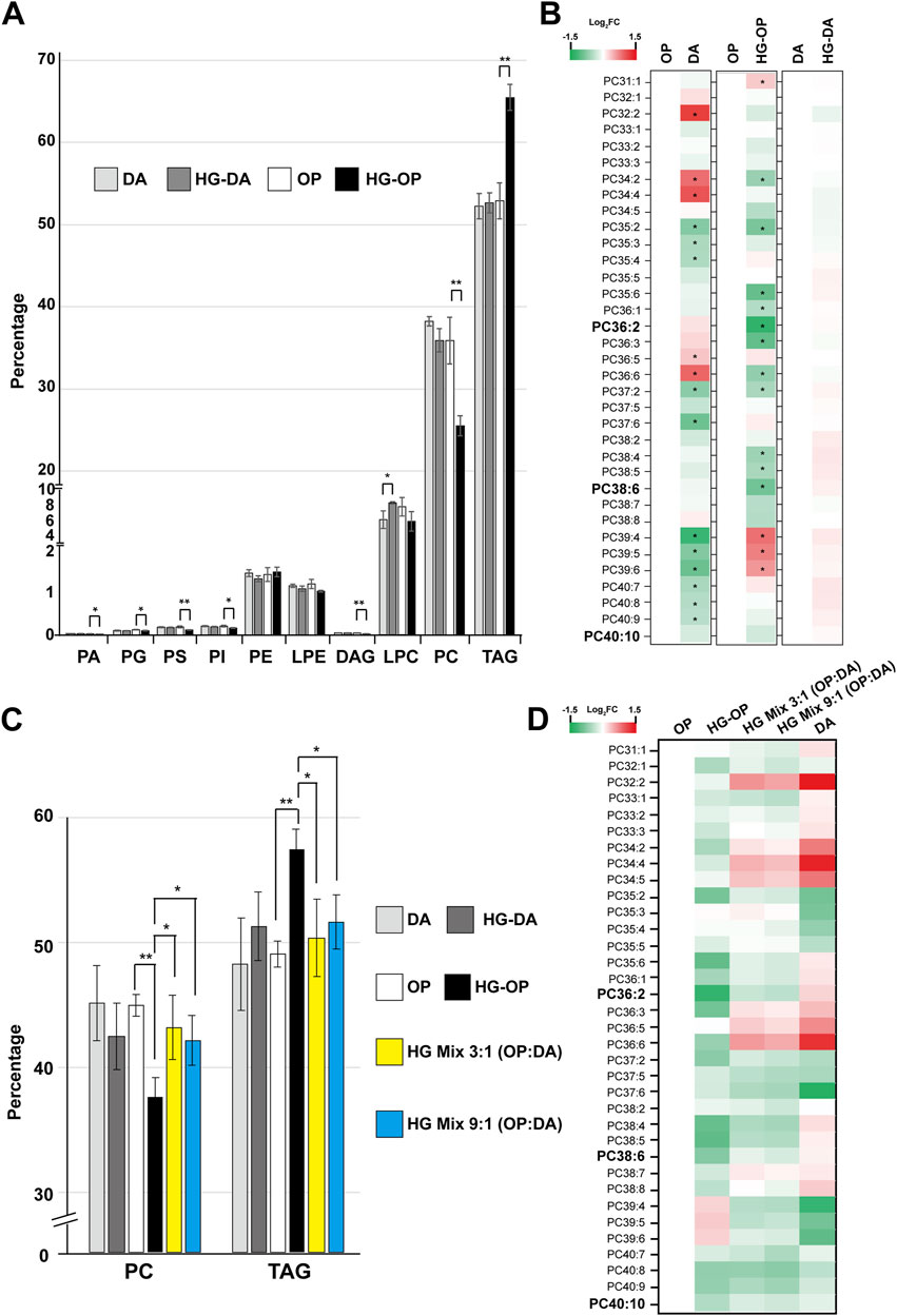 Panel A shows a bar graph comparing lipid percentages among DA, HG-DA, OP, and HG-OP groups. Panel B presents a heatmap indicating Logâ‚‚ fold changes in PC lipid species across different groups. Panel C features a bar graph of PC and TAG lipid percentages for several mixes. Panel D displays a heatmap of Logâ‚‚ fold changes for PC lipid species in various group mixes. Statistical significance is marked with asterisks.