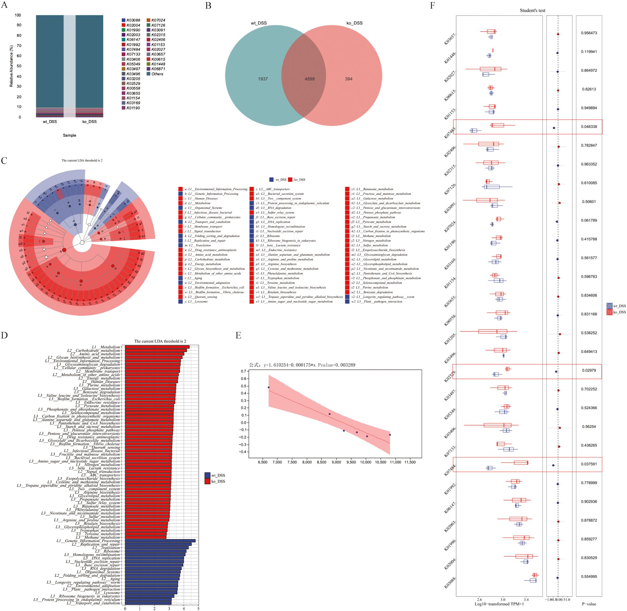 Panel A shows a stacked bar chart comparing taxonomic abundance in two samples, wt_DSS and ko_DSS, with different taxa color-coded. Panel B features a Venn diagram displaying overlapping and distinct taxa between the samples, with wt_DSS in teal and ko_DSS in red. Panel C is a circular cladogram with taxonomic data and annotations, showcasing significant differences marked in blue and red. Panel D presents a bar chart of taxonomic features with LDA scores, colored by sample. Panel E is a line graph with a regression line and confidence interval, illustrating a relationship between variables with statistical annotations. Panel F displays multiple box plots with Student's t-test results for various taxa, color-coded by sample.