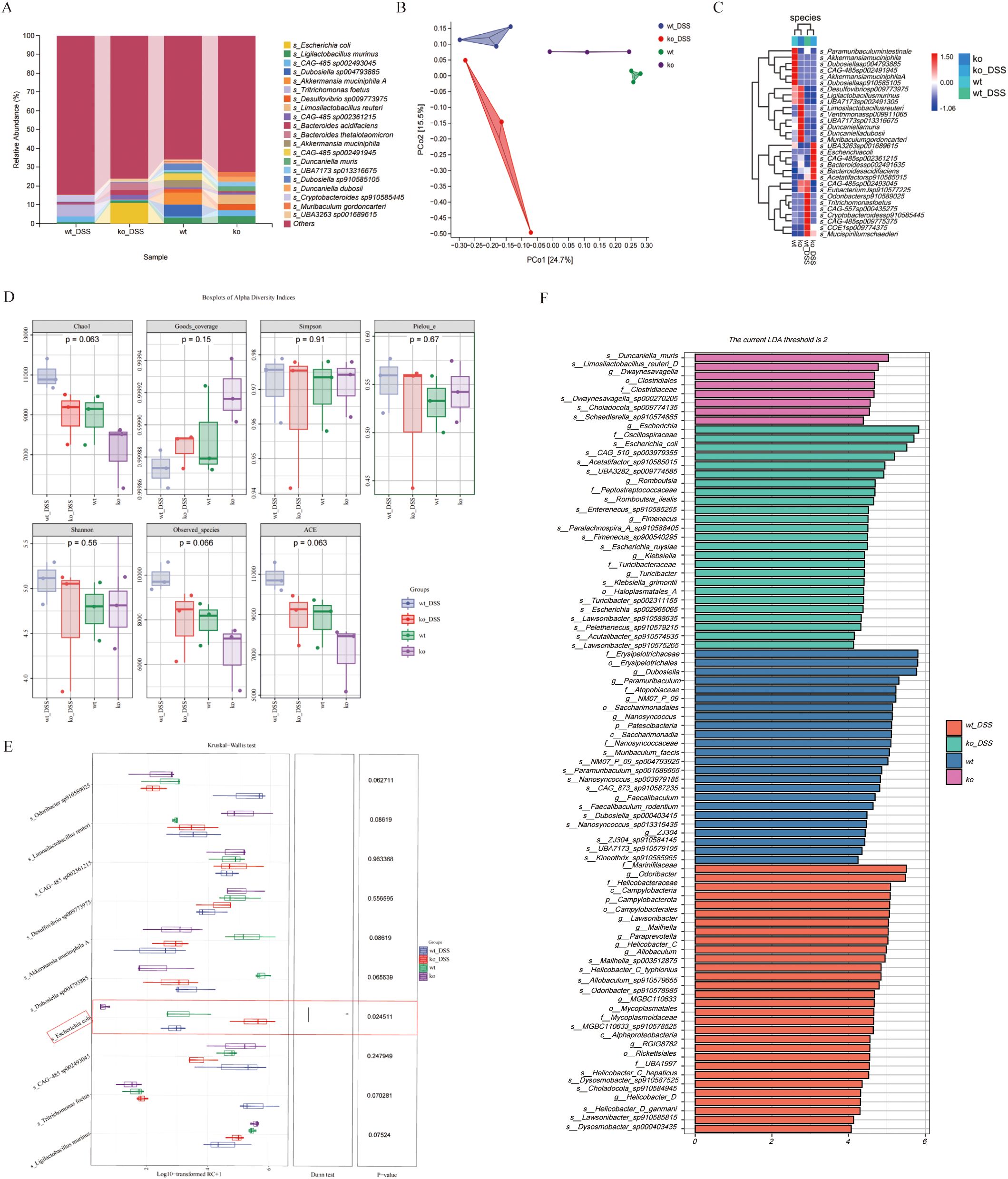 Grouped microbiome data visualizations include: A) Stacked bar chart of microbial relative abundance across samples; B) PCA plot showing sample clustering; C) Heatmap of species abundance with hierarchical clustering; D) Box plots comparing alpha diversity indices across four groups with p-values; E) Box plots of microbial taxa with Kendall-Wallis test results; F) Bar chart of LDA scores for significant taxa differences between groups.