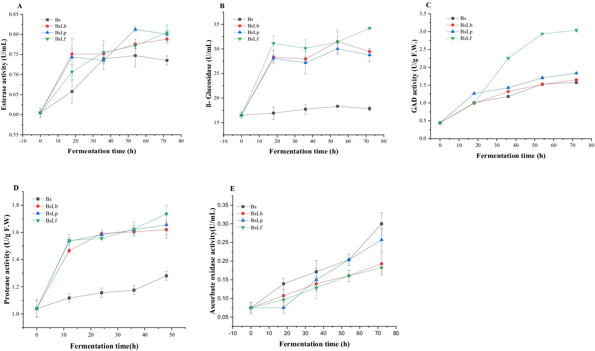 Five line graphs labeled A to E show the activity of different enzymes during fermentation over 80 hours. Graph A shows glucoamylase activity, Graph B depicts β-Glucosidase, Graph C illustrates GAD, Graph D presents protease activity, and Graph E displays ascorbate oxidase activity. The data lines represent different bacterial strains: Bs, BsLb, BsLp, and BsLf, with variable activity increases over time. Error bars indicate standard deviation.
