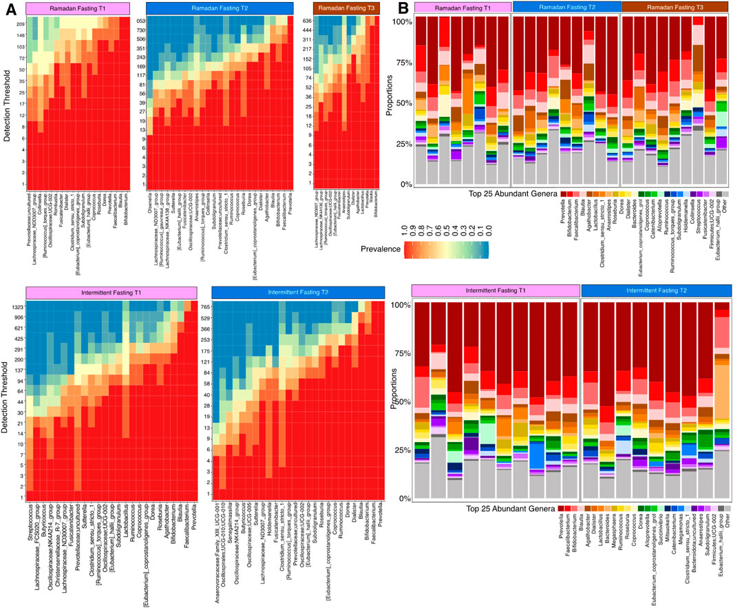 Two grouped bar charts analyzing fasting impacts on microbiome genera abundance. Panel A shows detection thresholds for Ramadan (T1, T2, T3) and Intermittent Fasting (T1, T2). Panel B displays proportions of top 25 abundant genera, comparing the same fasting conditions. The color scale represents prevalence, with variation across each fasting type.