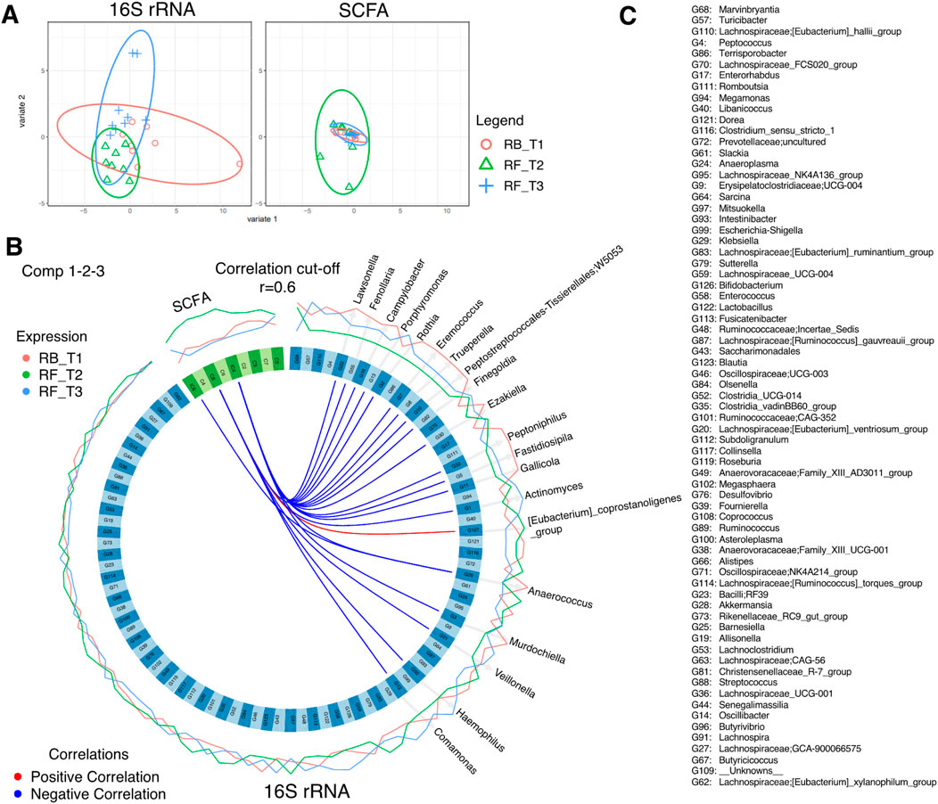 Two plots are shown: A and B. Plot A contains two graphs, one for 16S rRNA and the other for SCFA, with ellipses and points indicated by a legend. Plot B is a circular diagram illustrating correlations between 16S rRNA and SCFA, showing positive and negative correlations in red and blue, respectively. Expression levels are color-coded: RB_T1 in red, RF_T2 in green, and RF_T3 in blue. A correlation cut-off of 0.6 is indicated. Section C lists various bacterial groups alongside their numerical identifiers.