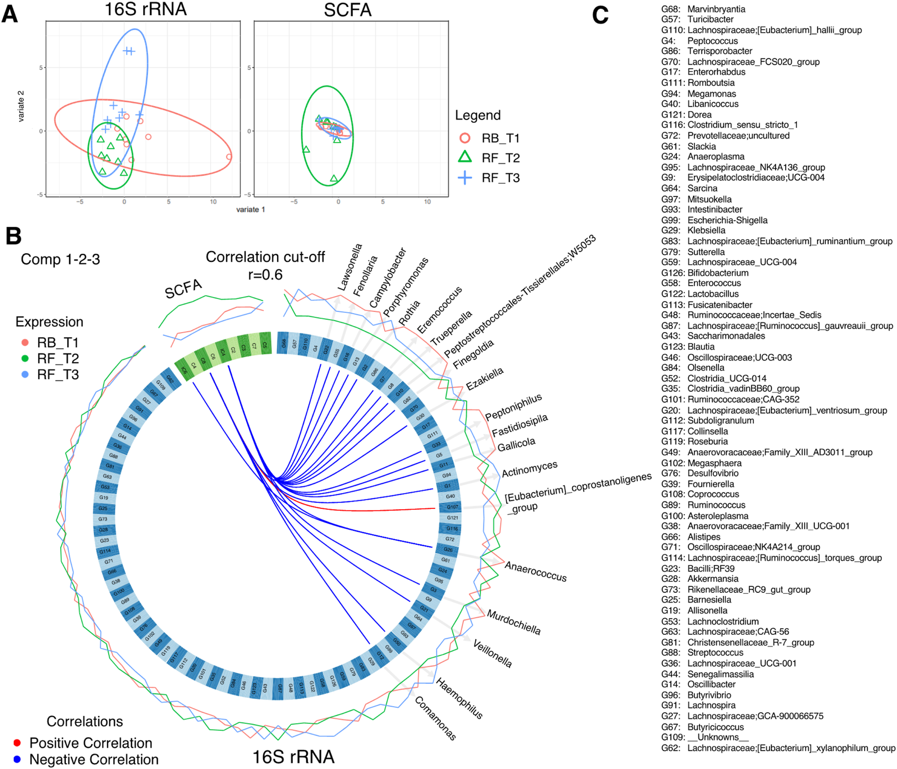 Two plots are shown: A and B. Plot A contains two graphs, one for 16S rRNA and the other for SCFA, with ellipses and points indicated by a legend. Plot B is a circular diagram illustrating correlations between 16S rRNA and SCFA, showing positive and negative correlations in red and blue, respectively. Expression levels are color-coded: RB_T1 in red, RF_T2 in green, and RF_T3 in blue. A correlation cut-off of 0.6 is indicated. Section C lists various bacterial groups alongside their numerical identifiers.