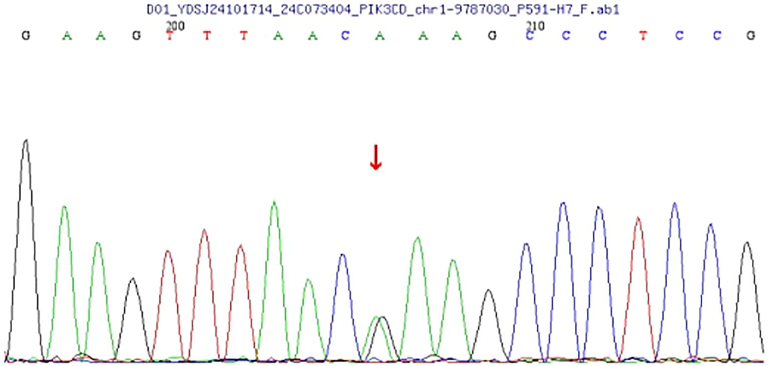 Electropherogram showing DNA sequencing data with peaks representing nucleotide bases: adenine (green), cytosine (blue), guanine (black), and thymine (red). A red arrow indicates a specific sequence position.