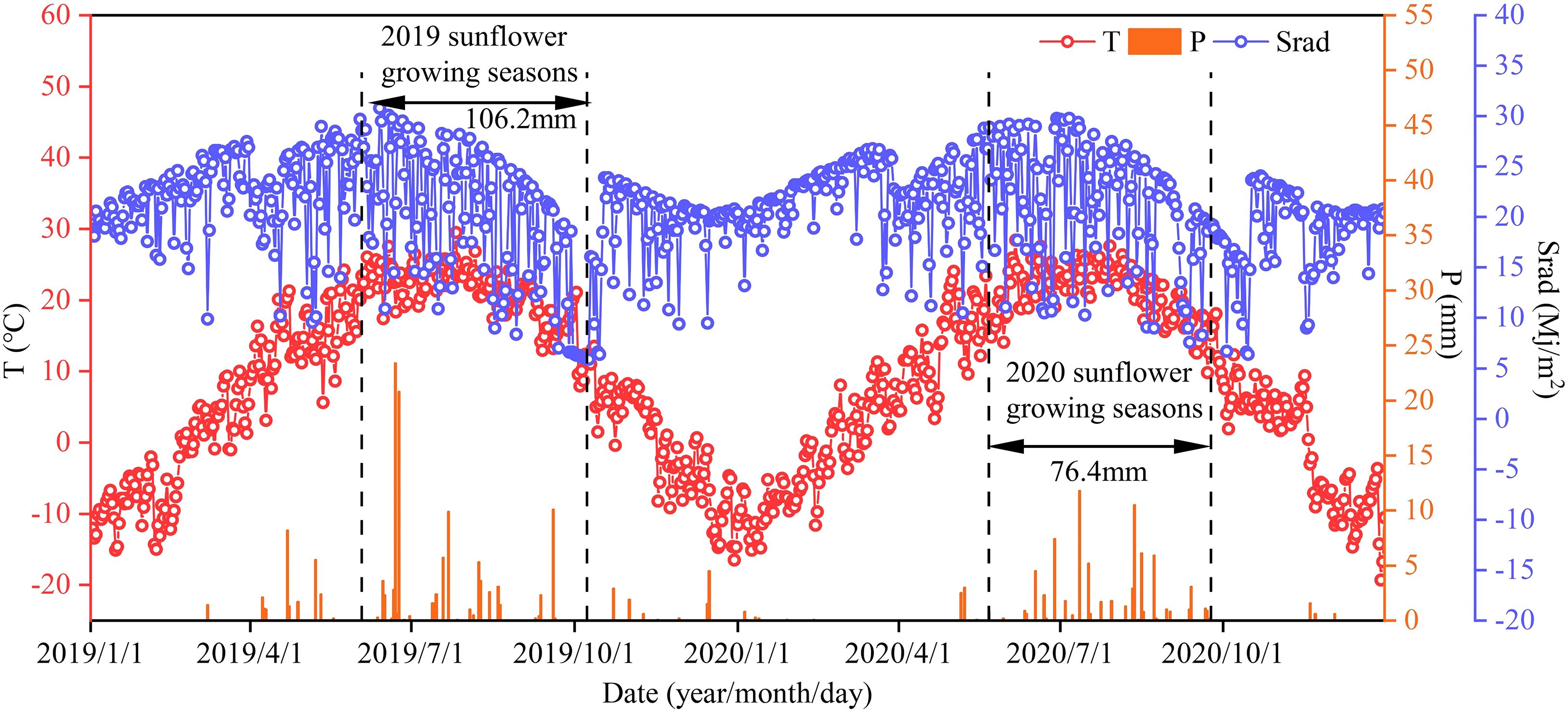 Line graph showing temperature (red circles), precipitation (orange bars), and solar radiation (blue circles) from January 2019 to October 2020. Significant sunflower growing seasons are marked, with precipitation for 2019 at 106.2 mm and 2020 at 76.4 mm. Temperature and solar radiation fluctuate throughout the period.