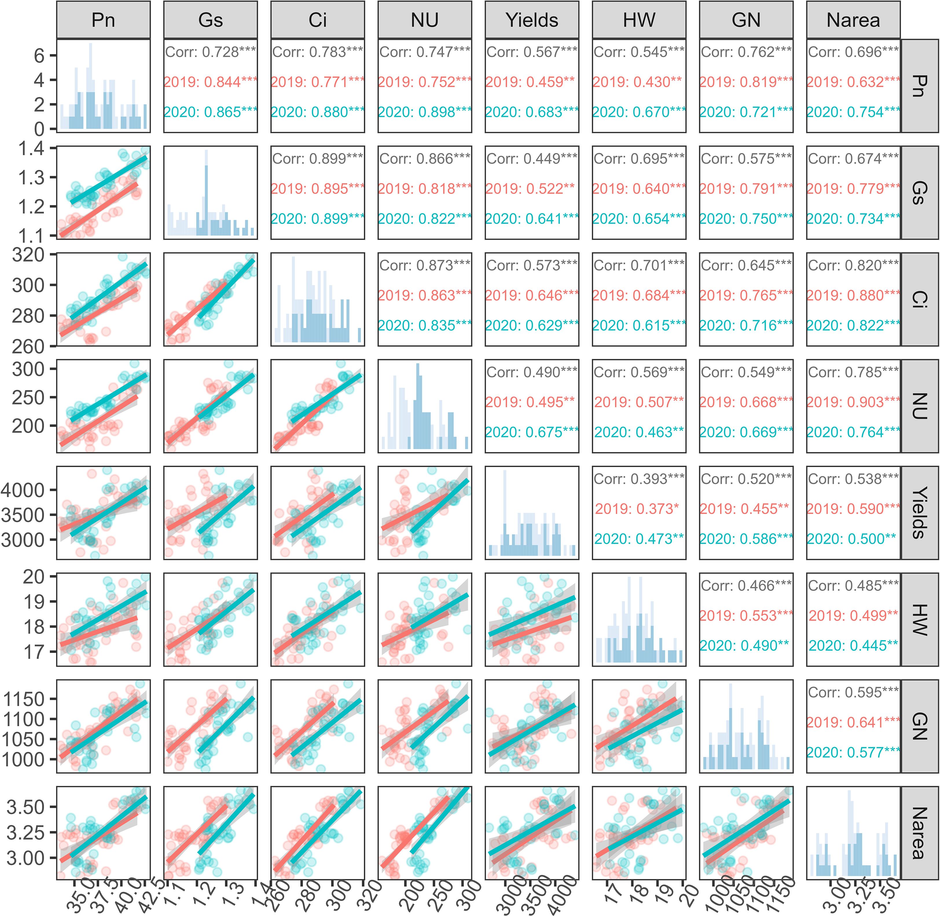 Scatterplot matrix showing correlations between variables: Pn, Gs, Ci, NU, Yields, HW, GN, and Narea. Each subplot includes scatter plots with regression lines, color-coded by year (2019 in red, 2020 in blue). Correlation coefficients are provided for each relationship, highlighting differences between 2019 and 2020 data. The diagonal contains histograms representing the distribution of each variable.