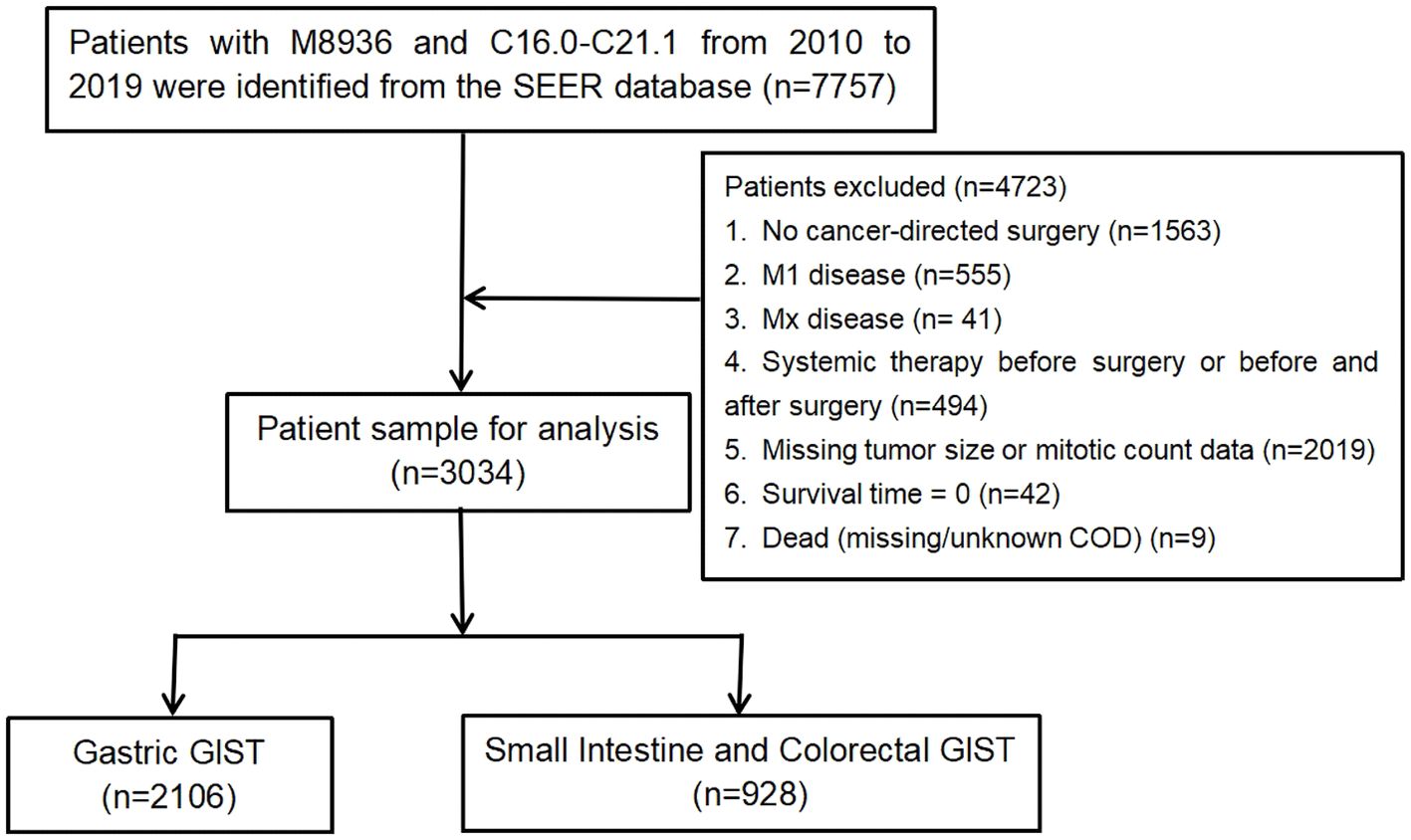 Flowchart showing patient selection from the SEER database. Initially, 7,757 patients with M8936 and C16.0-C21.1 from 2010 to 2019 were identified. 4,723 patients were excluded for reasons like no cancer-directed surgery, M1 or Mx disease, systemic therapy pre/post-surgery, missing tumor data, survival time zero, or unknown cause of death. The final sample included 3,034 patients: 2,106 with Gastric GIST and 928 with Small Intestine and Colorectal GIST.