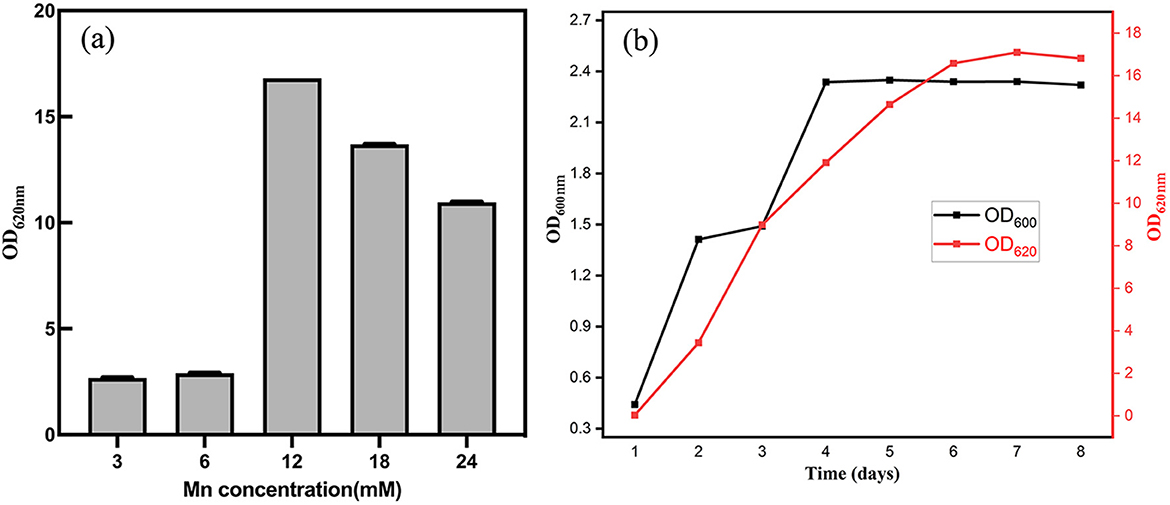 Chart (a) displays a bar graph of OD620 nm against manganese concentration, showing an increase from 3 mM to 12 mM, then a slight decline. Chart (b) is a line graph comparing OD620 nm and OD620 nm text over eight days. OD620 nm text rises steadily before plateauing, while OD620 nm text peaks and levels out sooner.